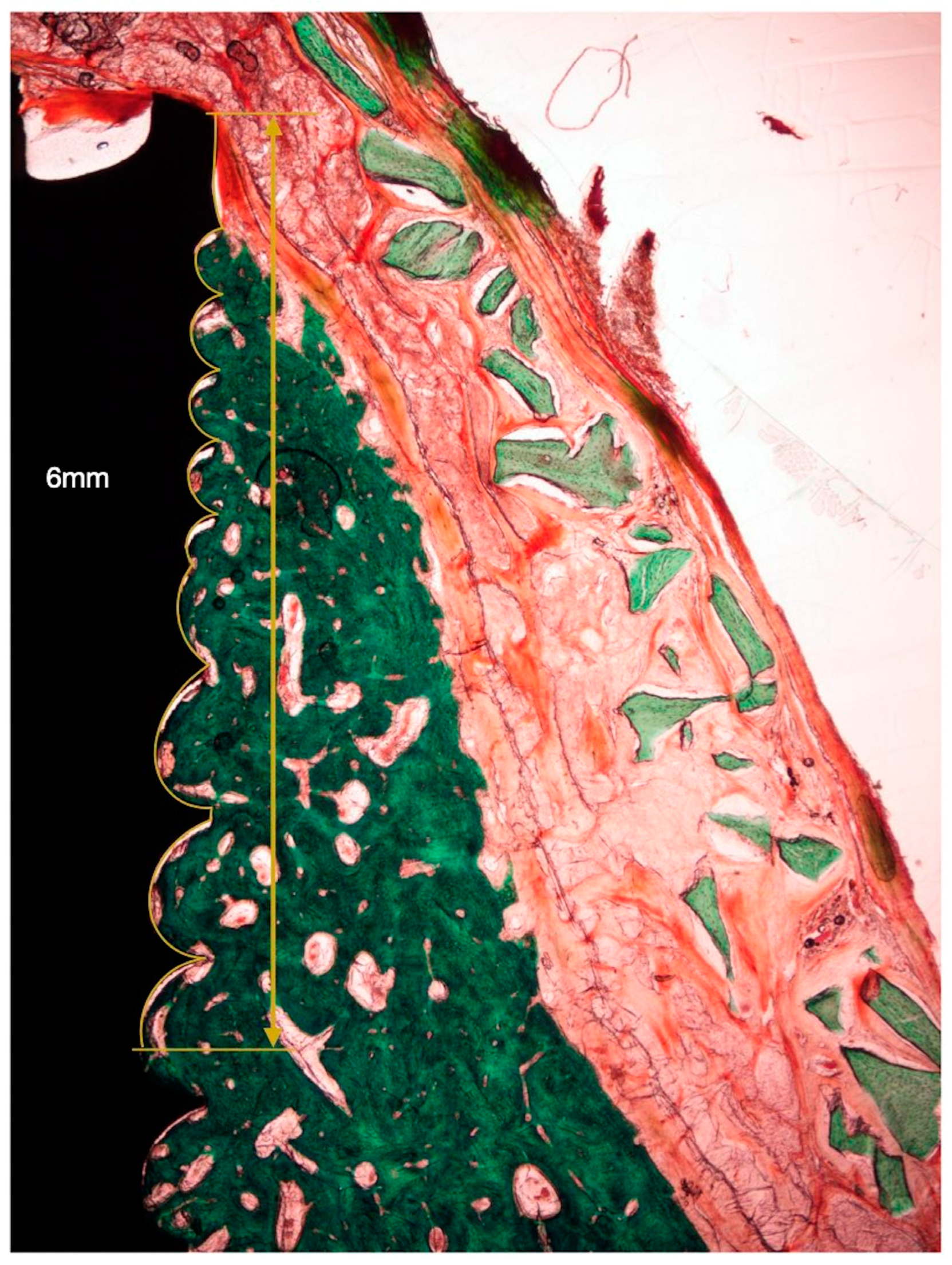 Bioengineering 10 00841 g006