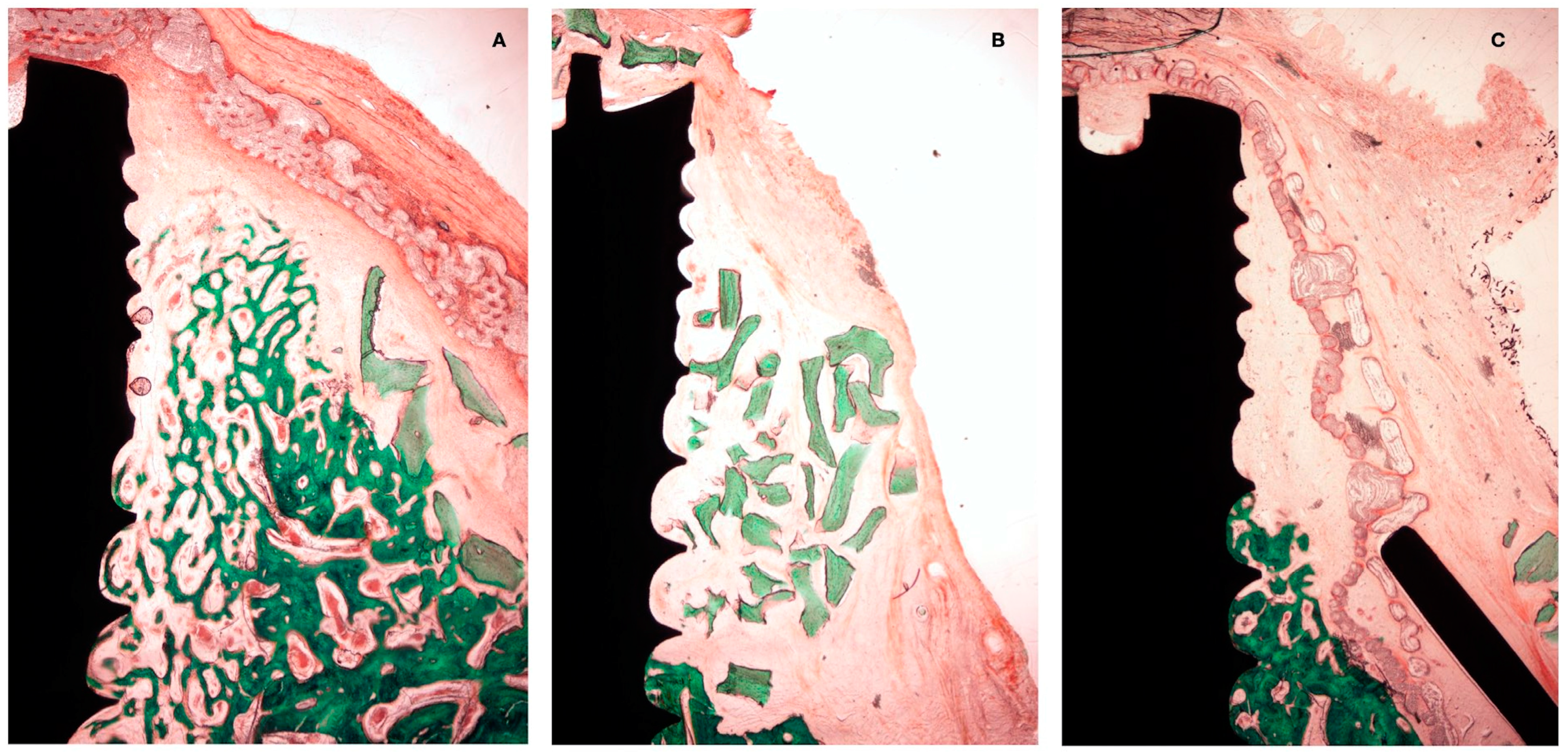 Bioengineering 10 00841 g007