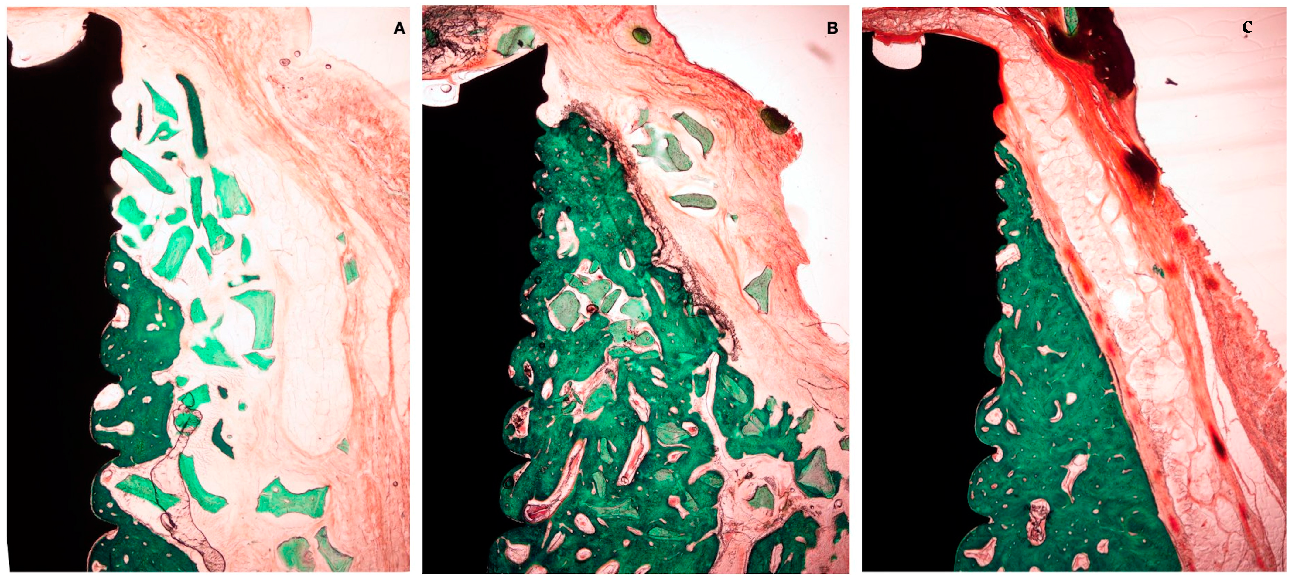 Bioengineering 10 00841 g009