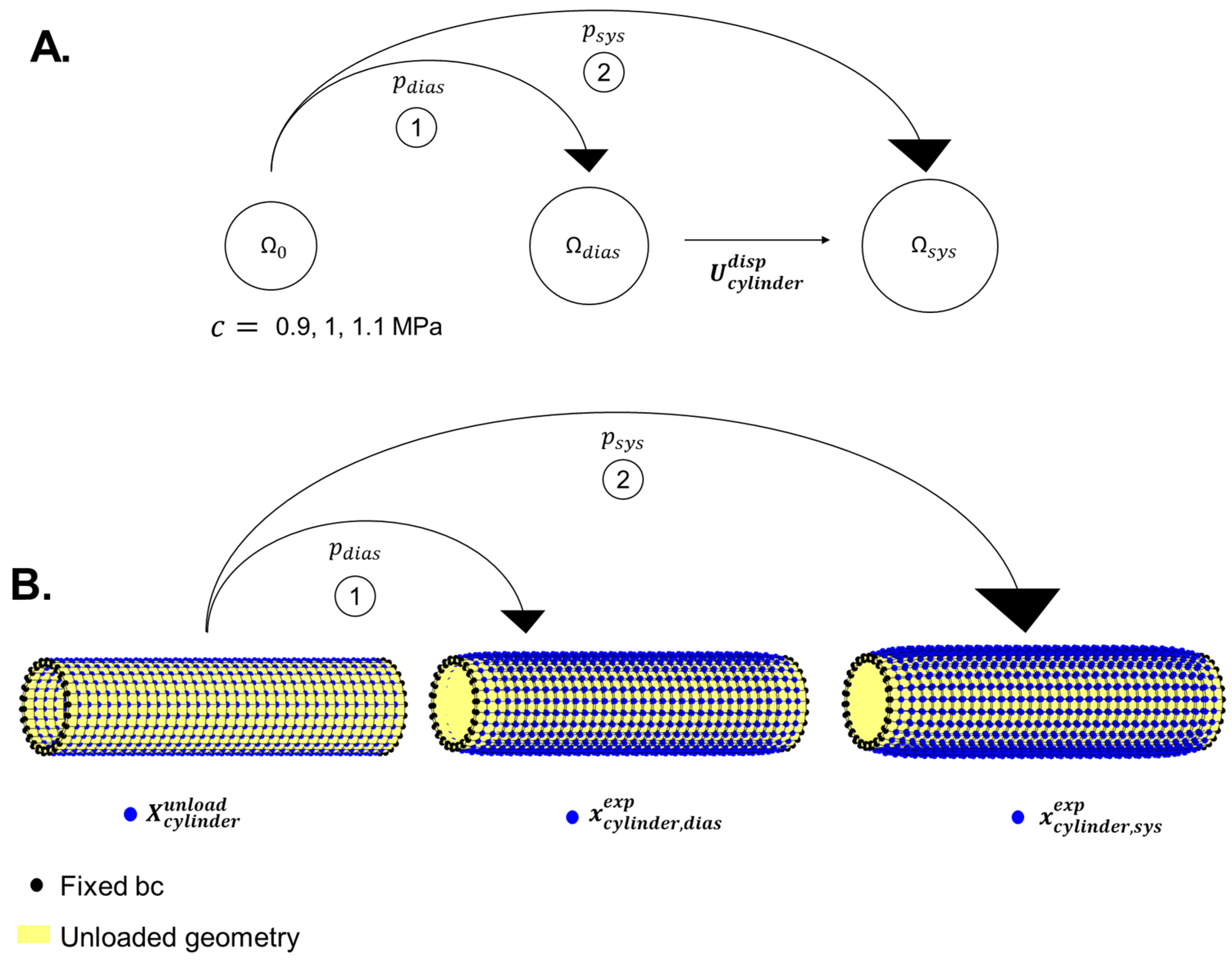 Bioengineering 10 00846 g004 Bioengineering 10 00846 g004