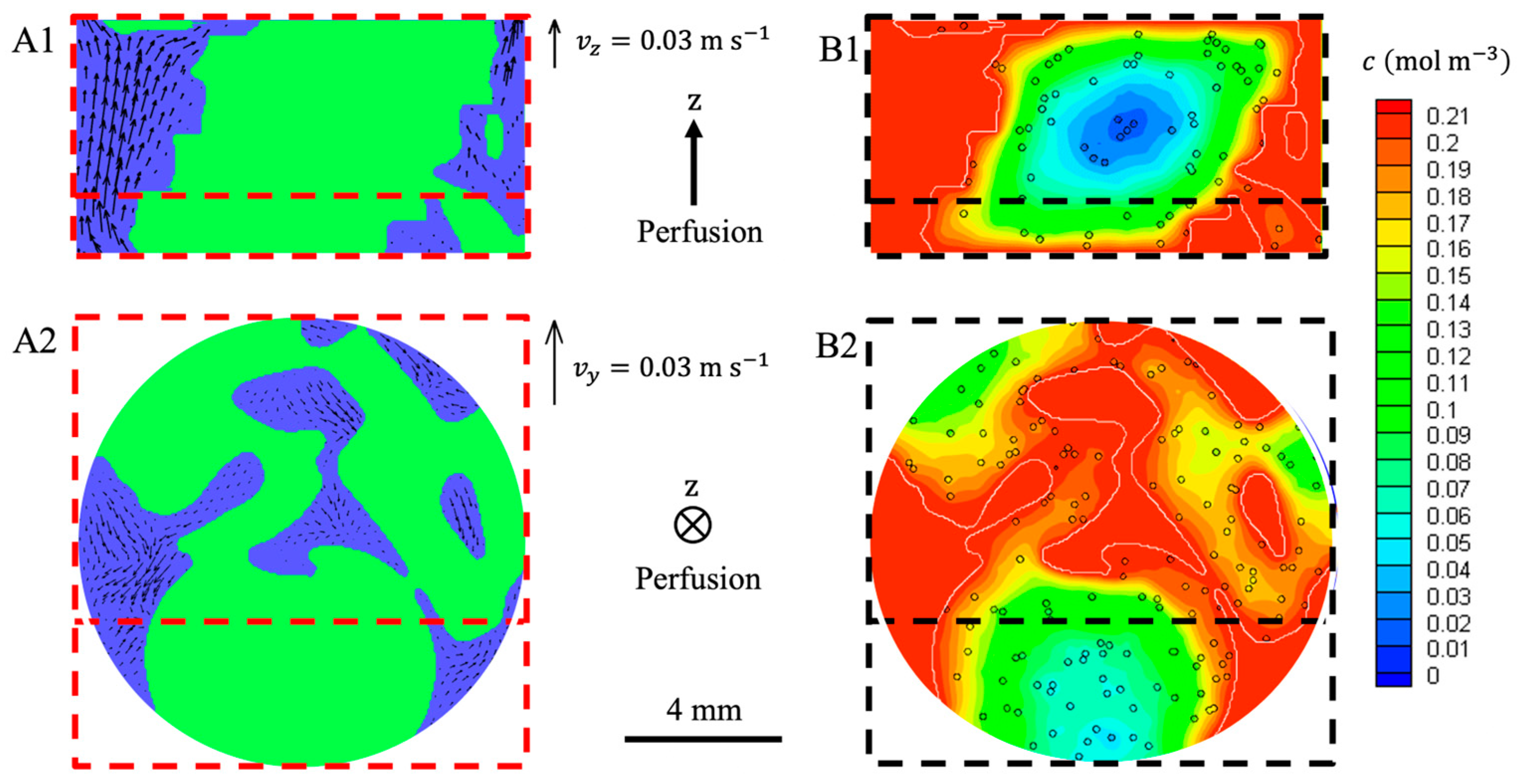 Bioengineering 10 00849 g010