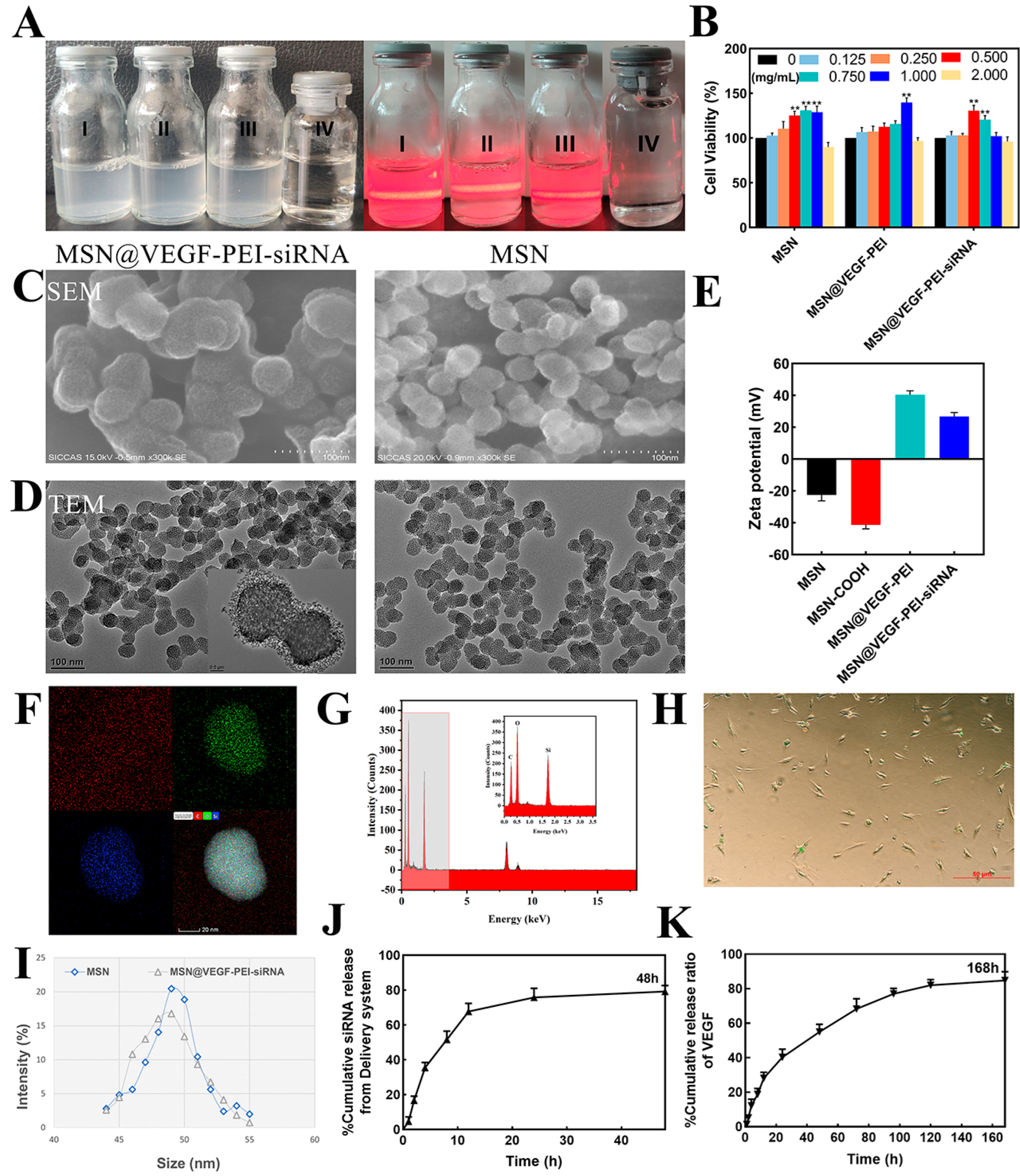 Bioengineering 10 00859 g002