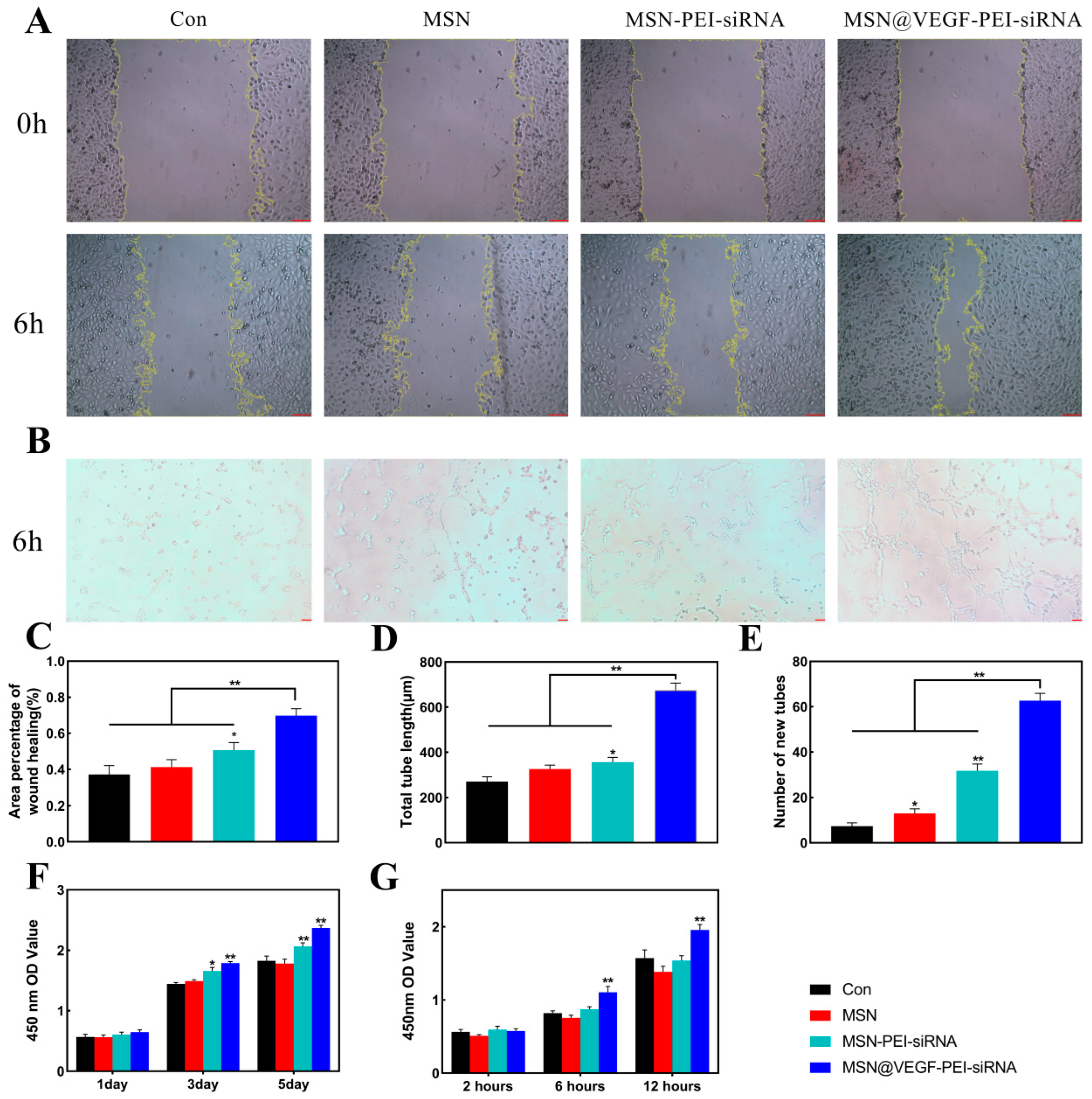 Bioengineering 10 00859 g004