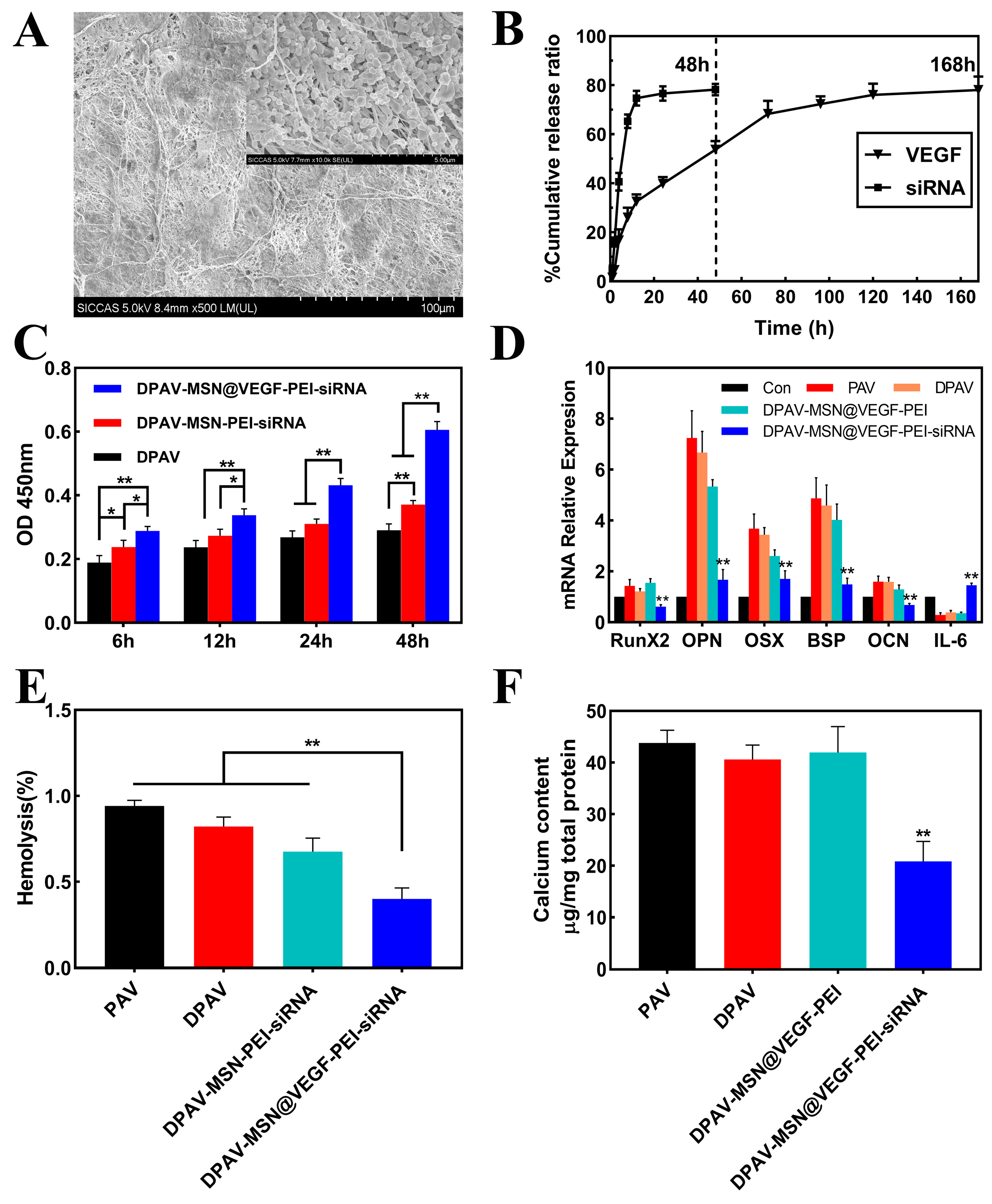Bioengineering 10 00859 g005