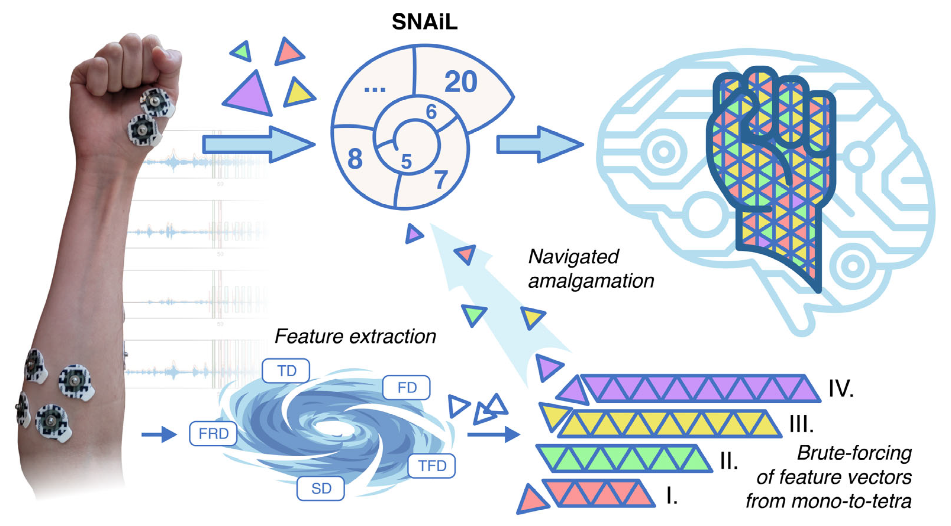 Bioengineering 10 00866 g001 Bioengineering 10 00866 g001