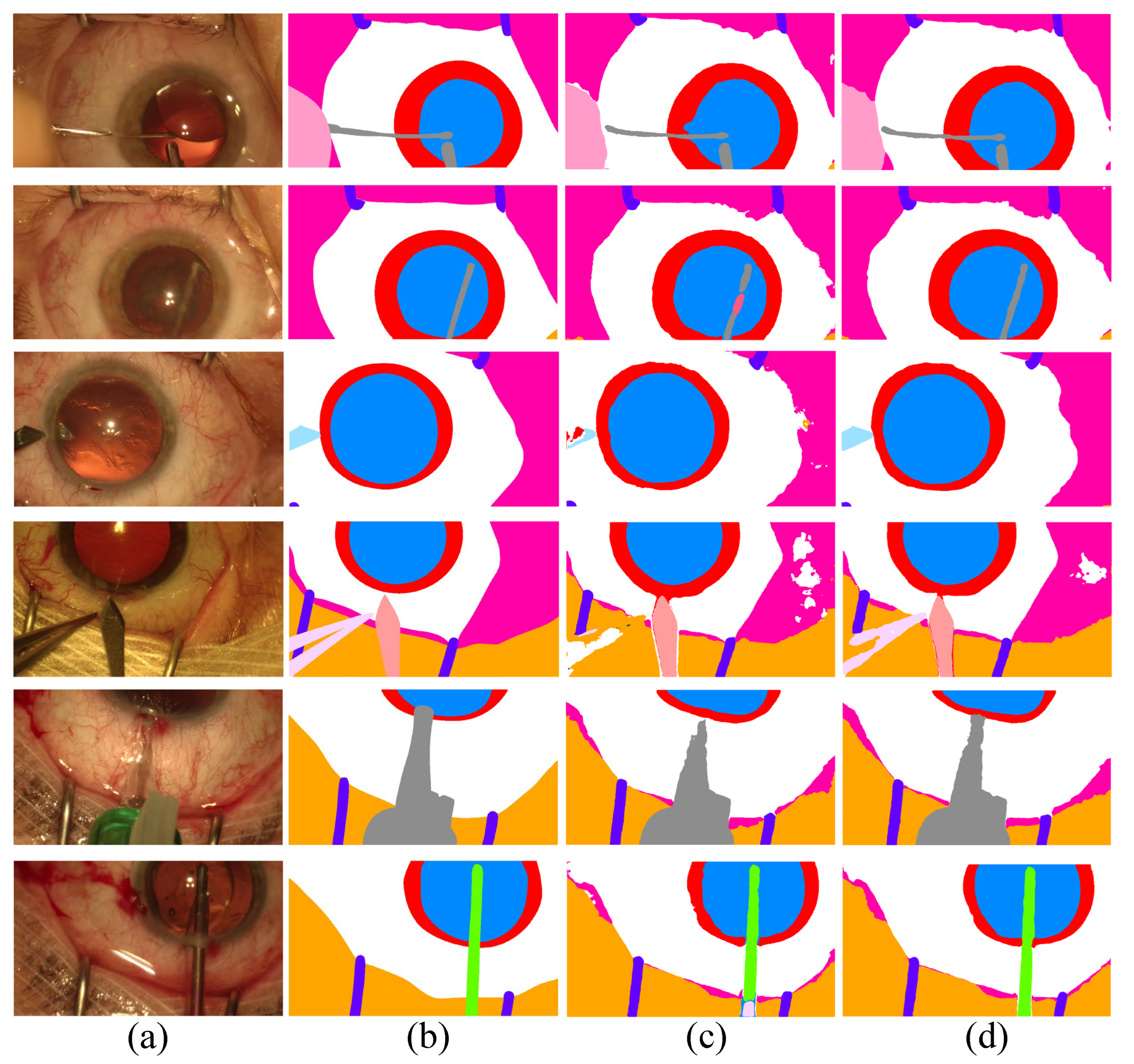 Bioengineering 10 00869 g003