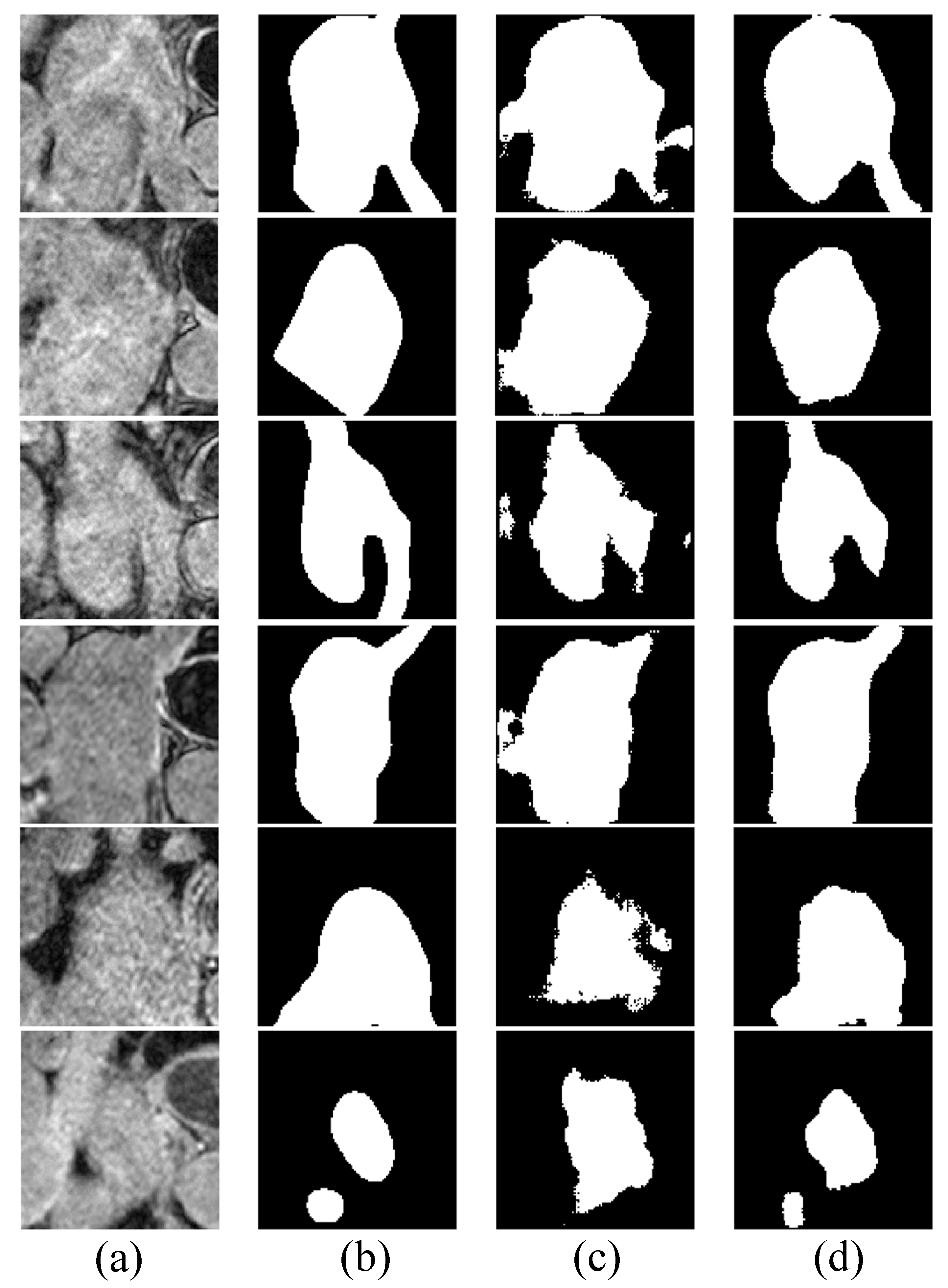 Bioengineering 10 00869 g005