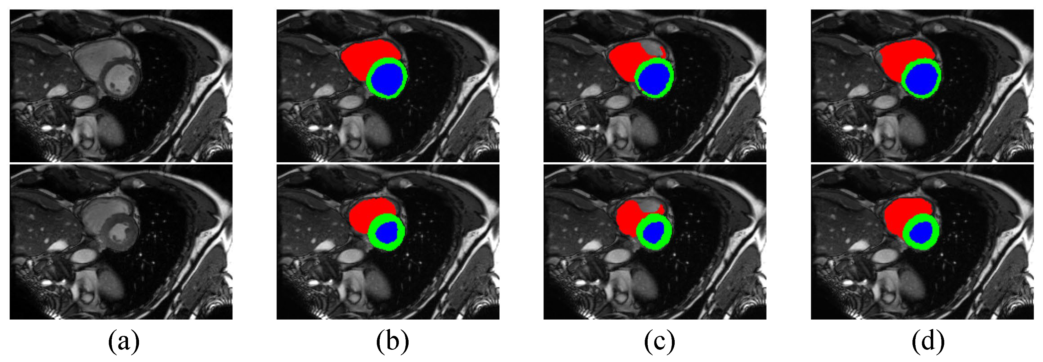 Bioengineering 10 00869 g006