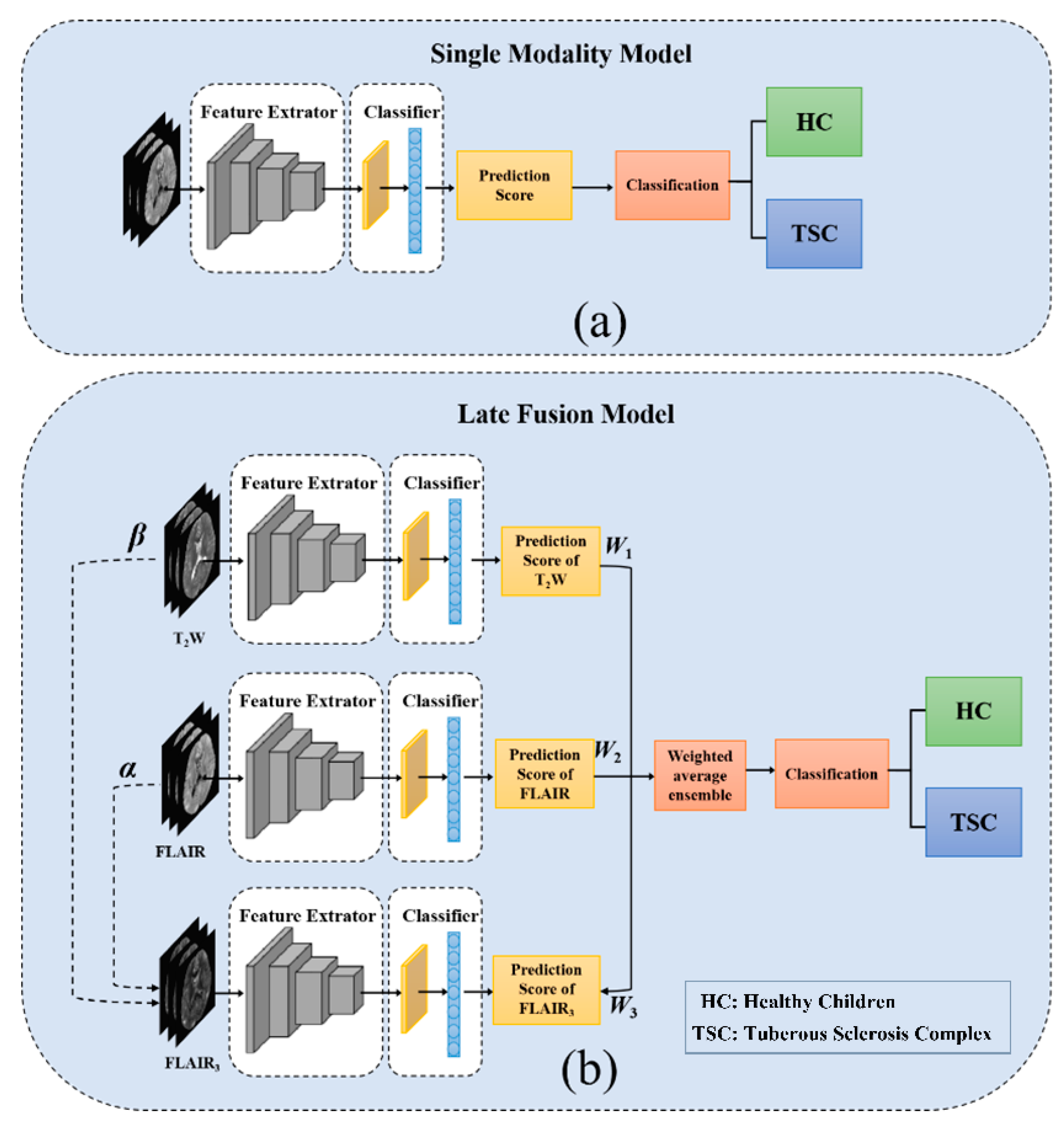 Bioengineering 10 00870 g001