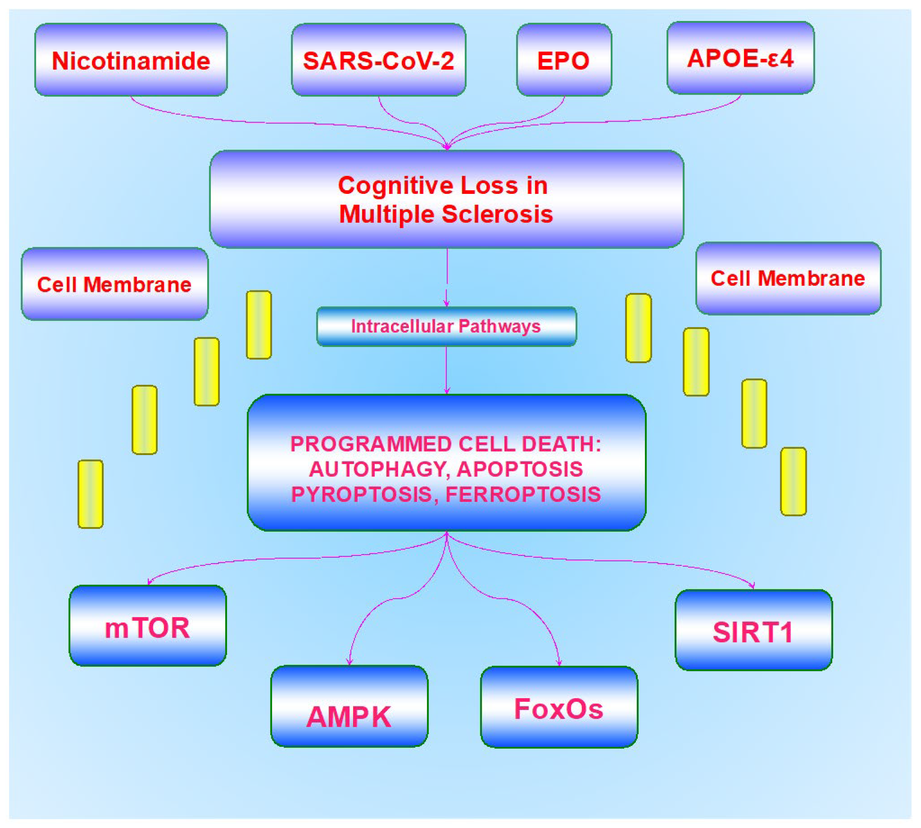 Bioengineering 10 00871 g001
