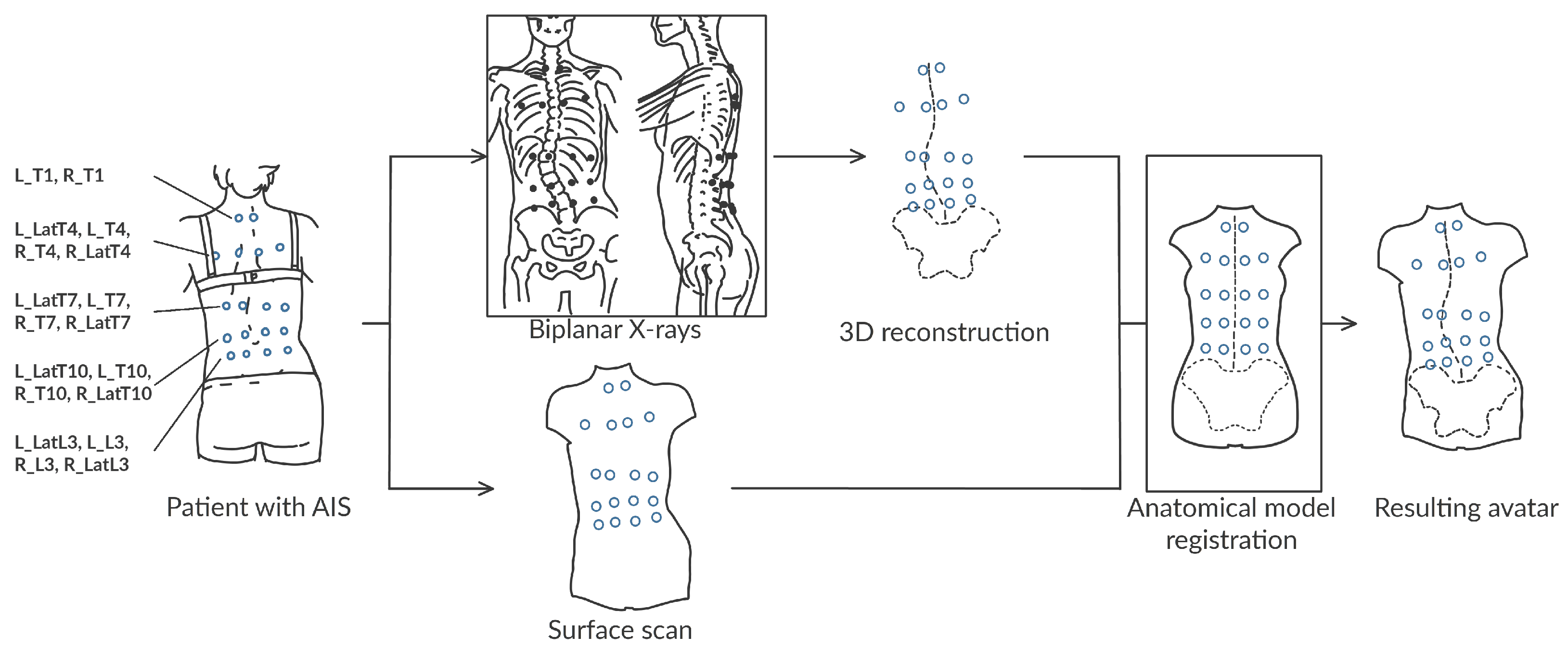 Bioengineering 10 00874 g001