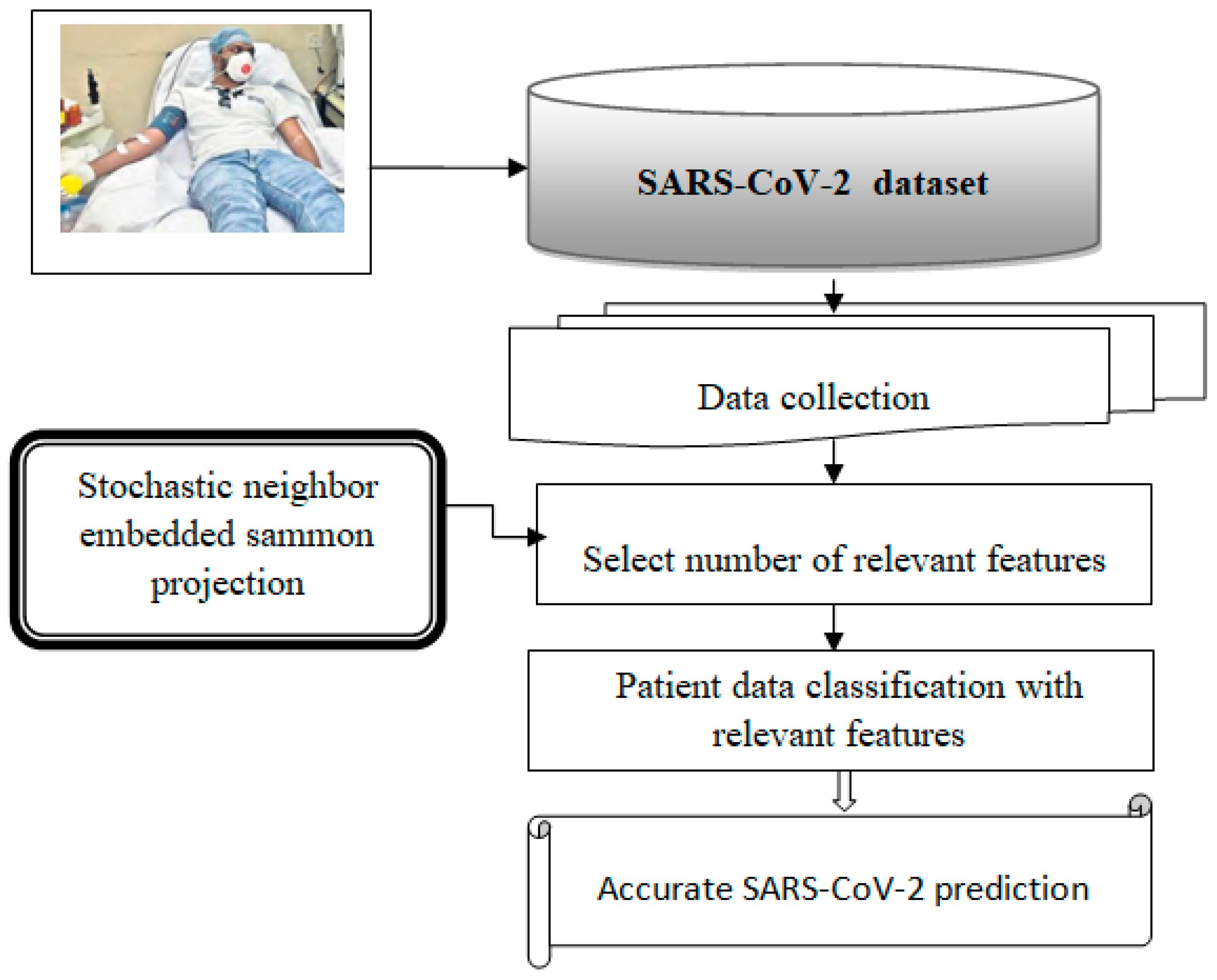 Bioengineering 10 00880 g001
