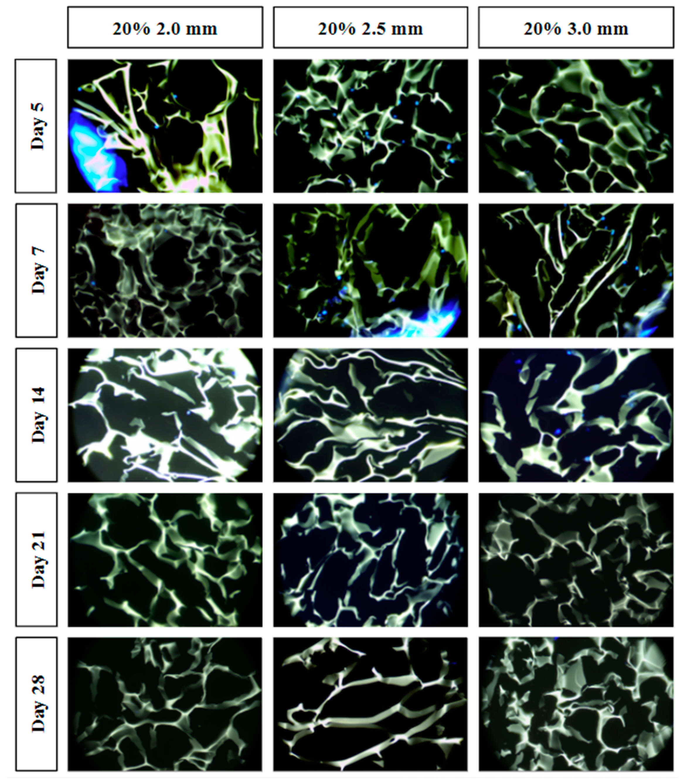 Bioengineering 10 00889 g009