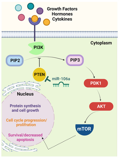 Bioengineering 10 00892 g001