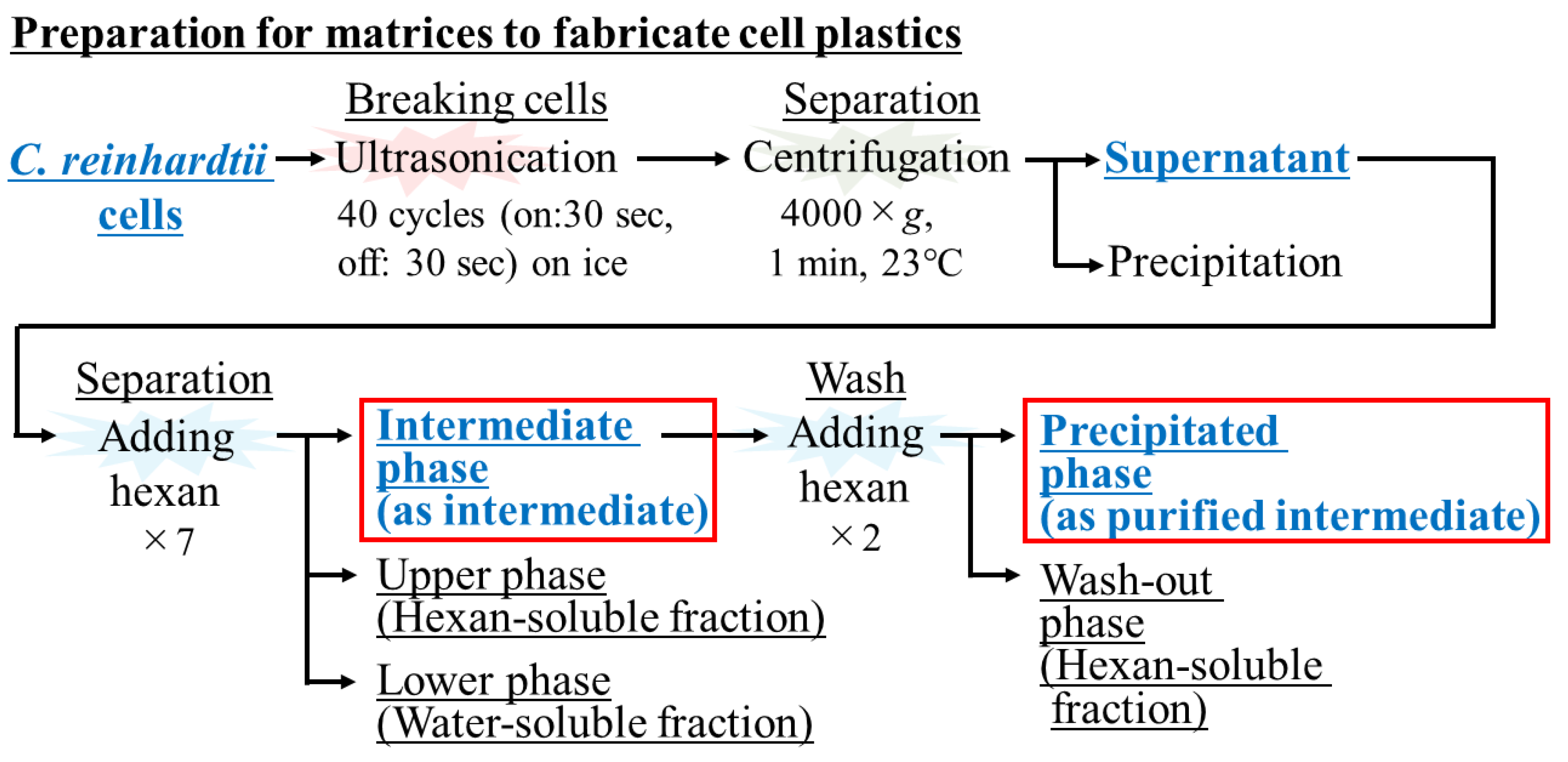 Bioengineering 10 00893 g001 Bioengineering 10 00893 g001