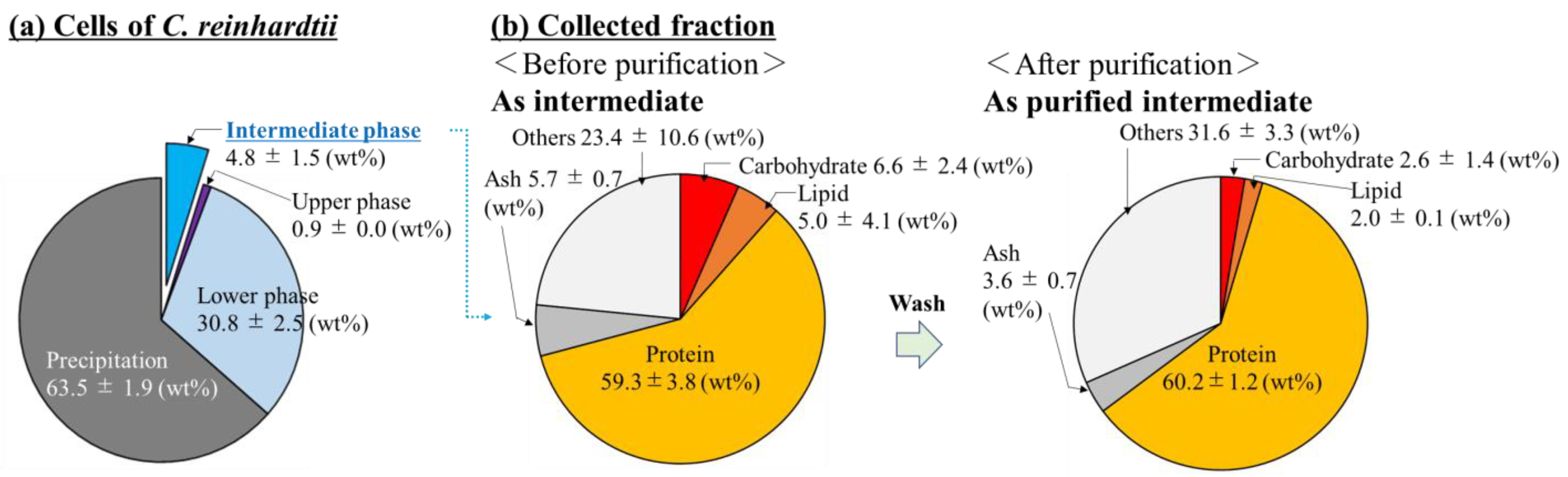 Bioengineering 10 00893 g002 Bioengineering 10 00893 g002