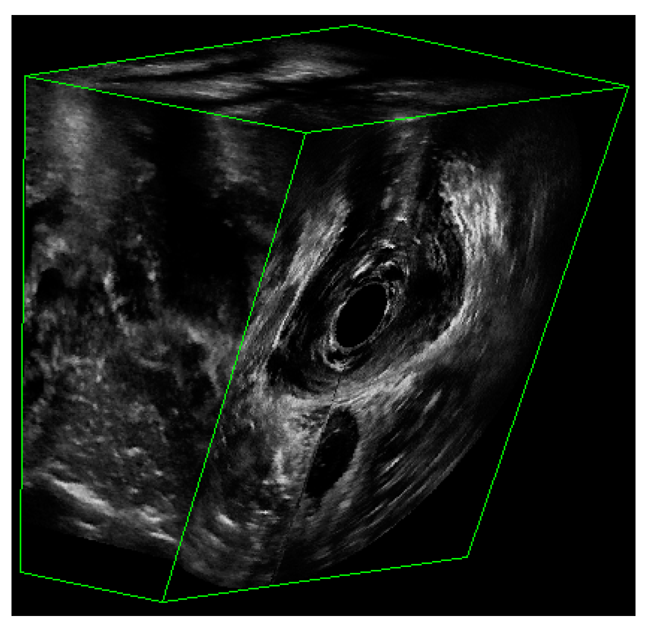 Bioengineering 10 00894 g002 Bioengineering 10 00894 g002