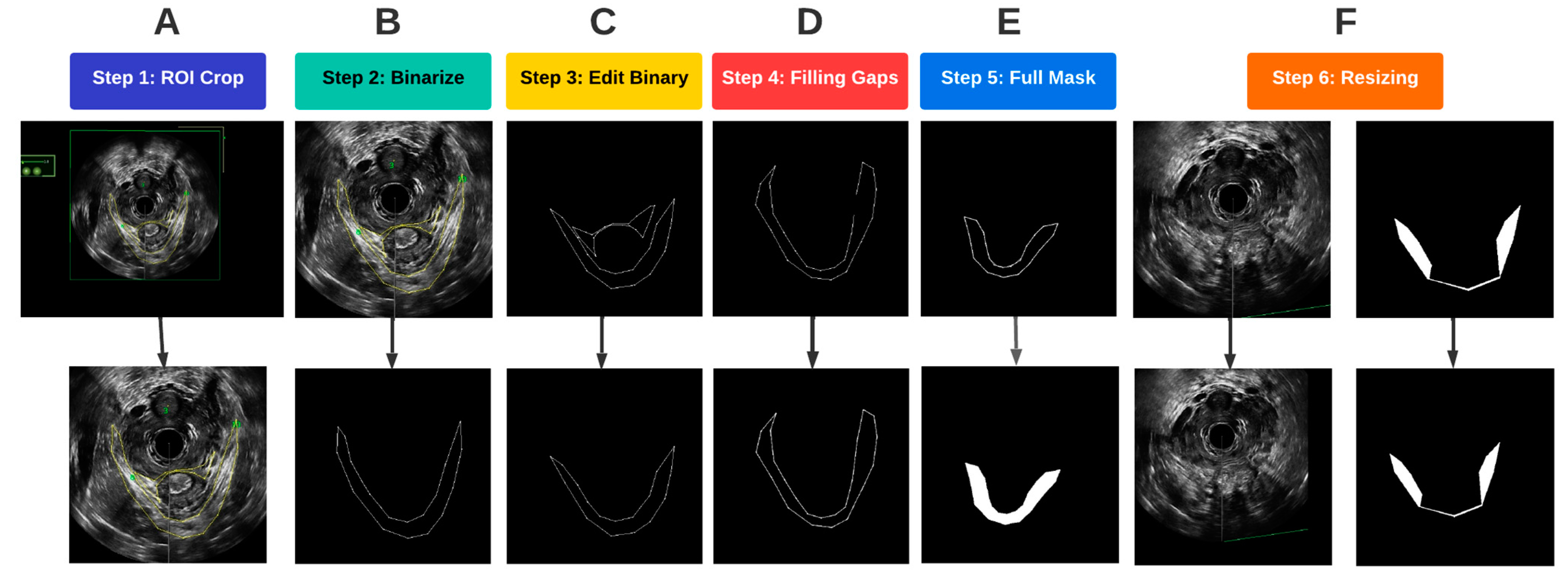 Bioengineering 10 00894 g004 Bioengineering 10 00894 g004