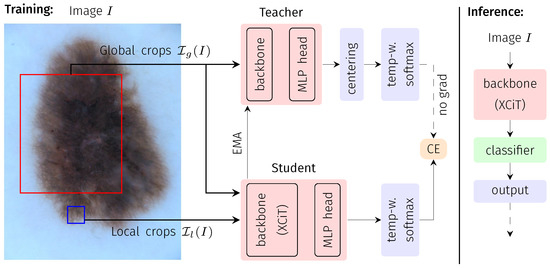 Bioengineering 10 00895 g001