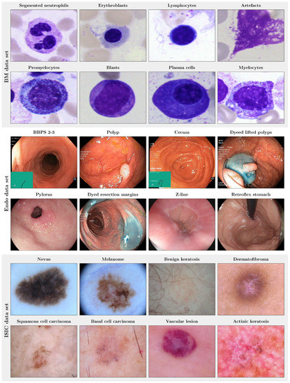 Bioengineering 10 00895 g002