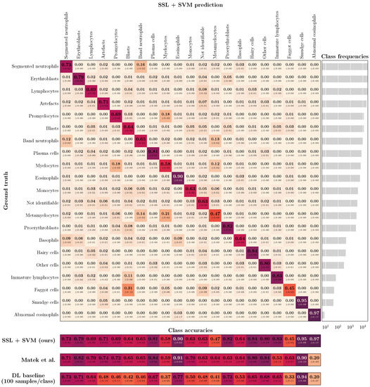Bioengineering 10 00895 g004