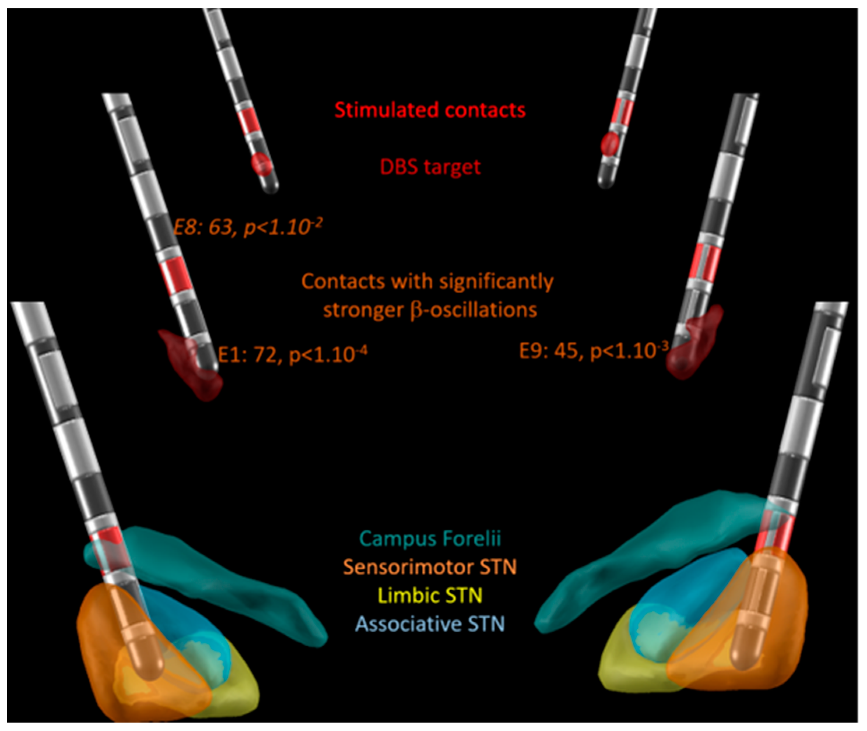 Bioengineering 10 00898 g002