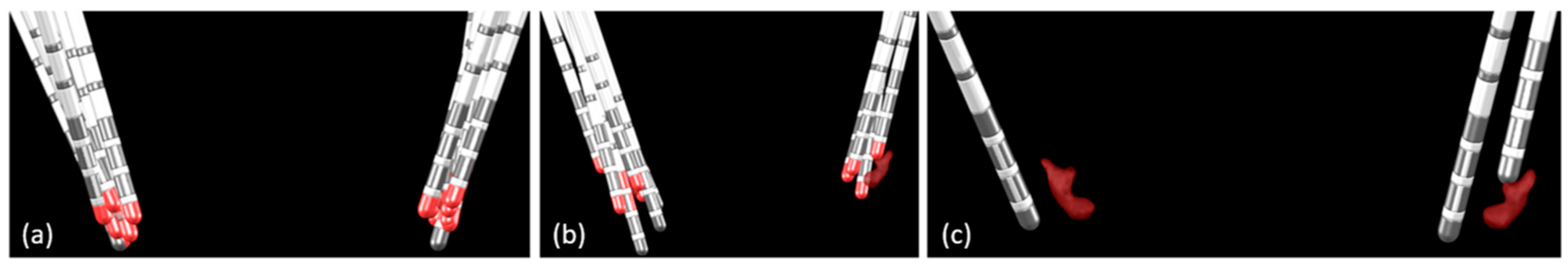 Bioengineering 10 00898 g004