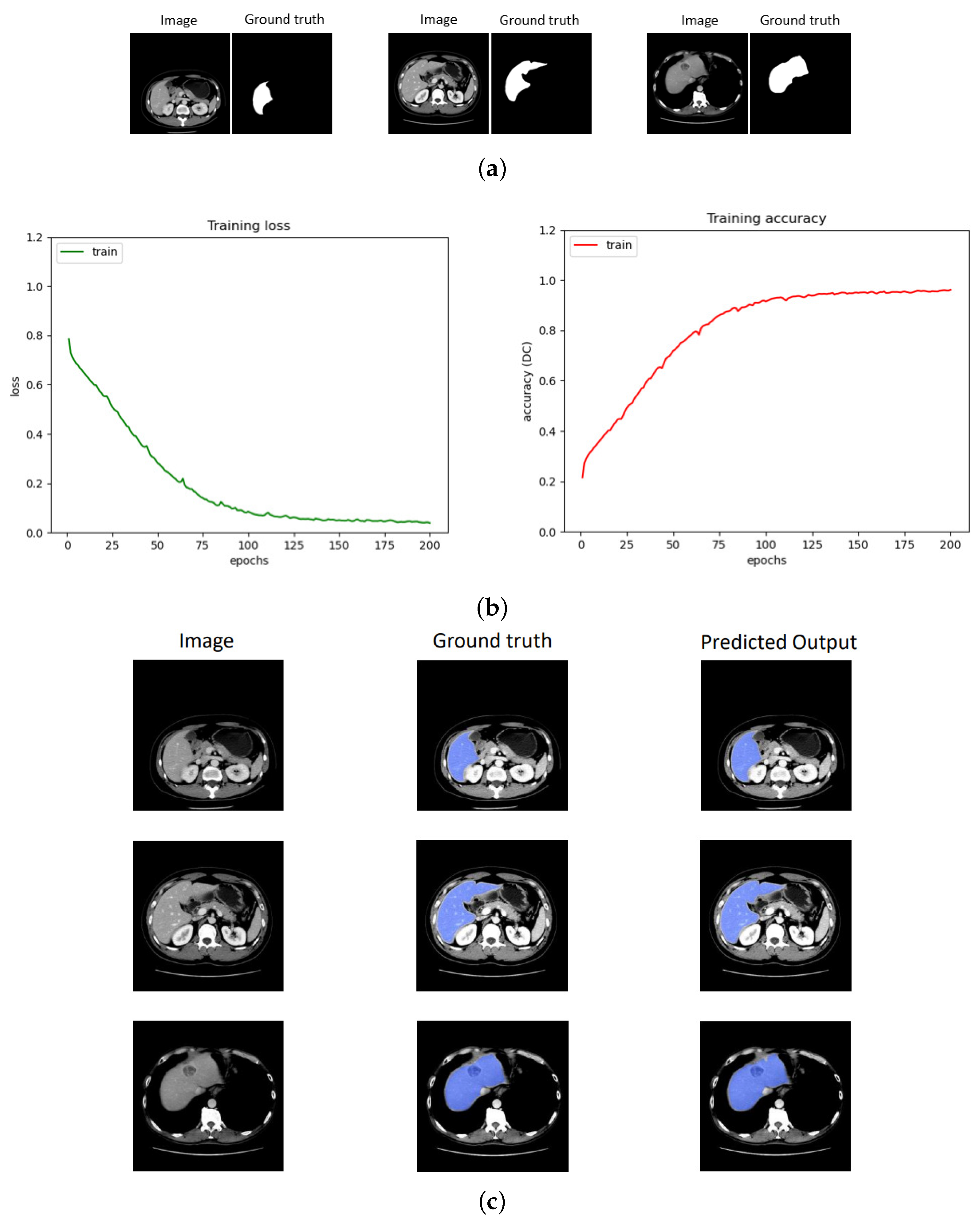 Bioengineering 10 00899 g004