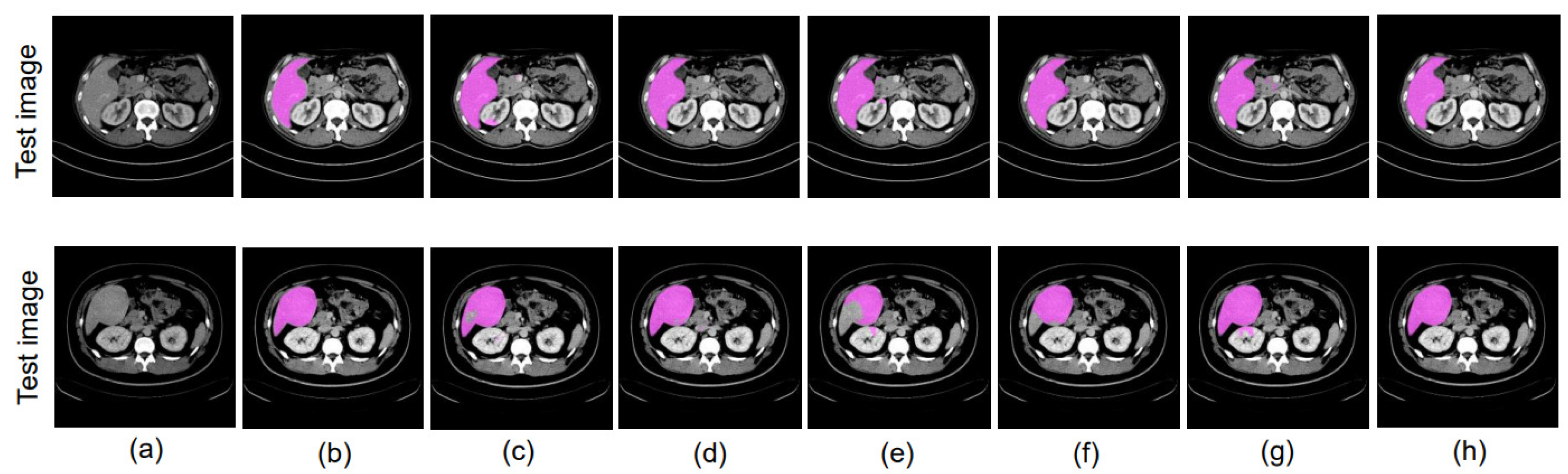 Bioengineering 10 00899 g005
