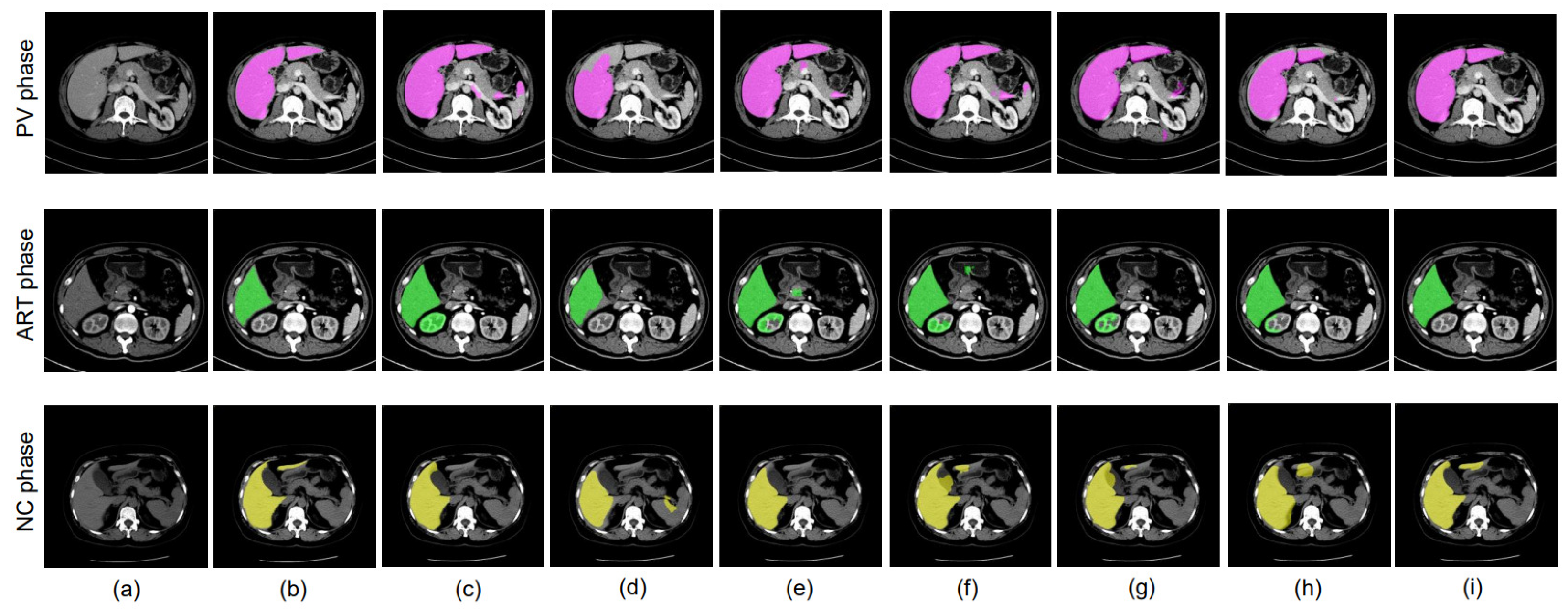 Bioengineering 10 00899 g008