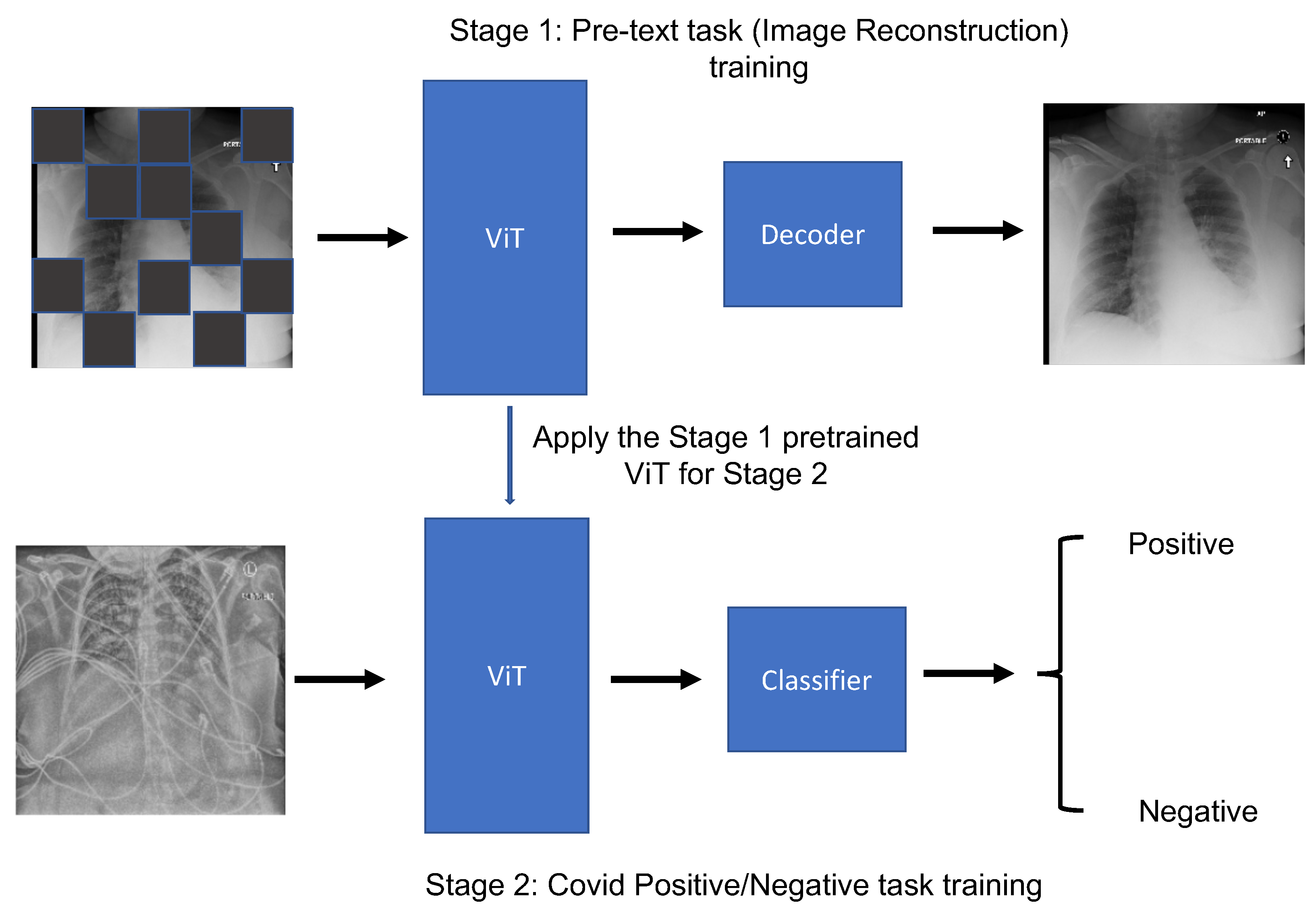 Bioengineering 10 00901 g003