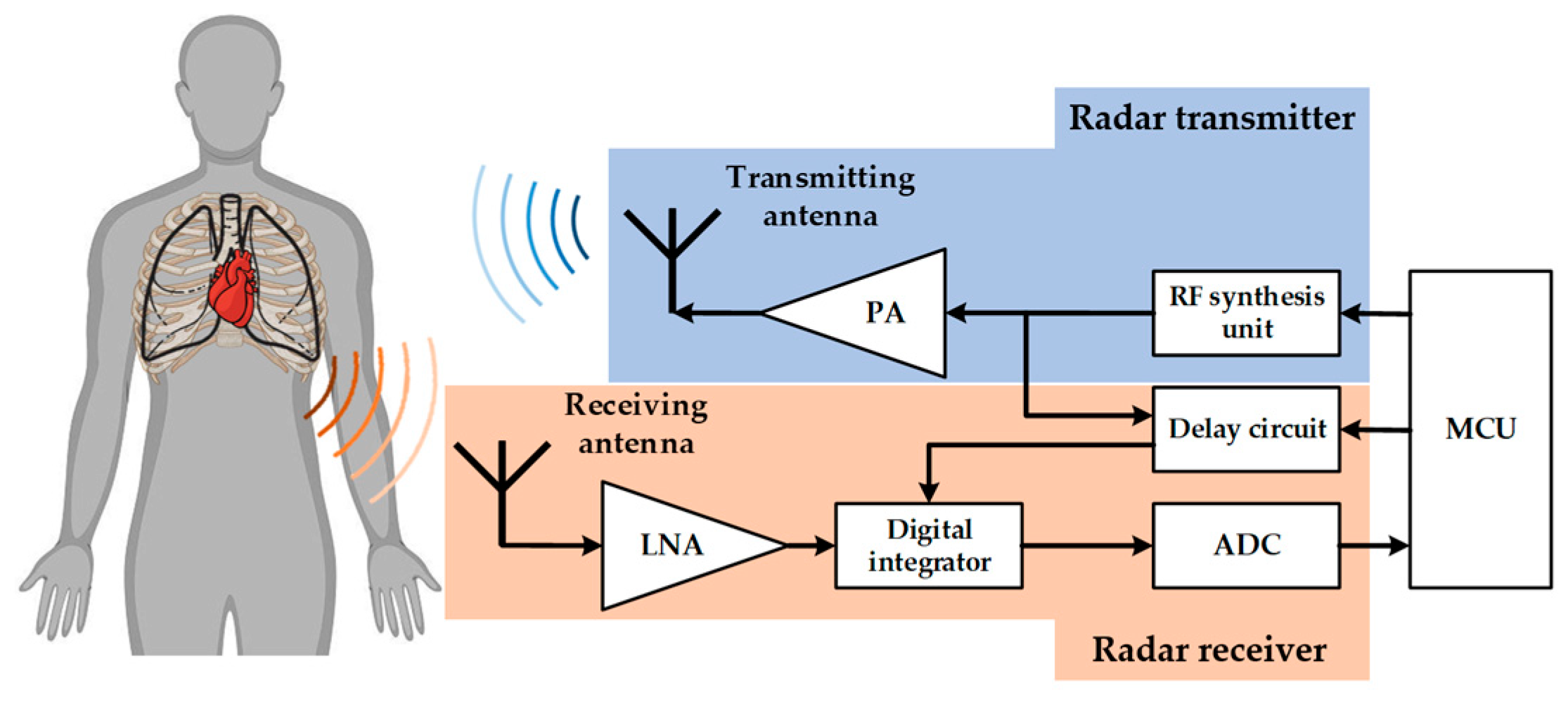 Bioengineering 10 00905 g001