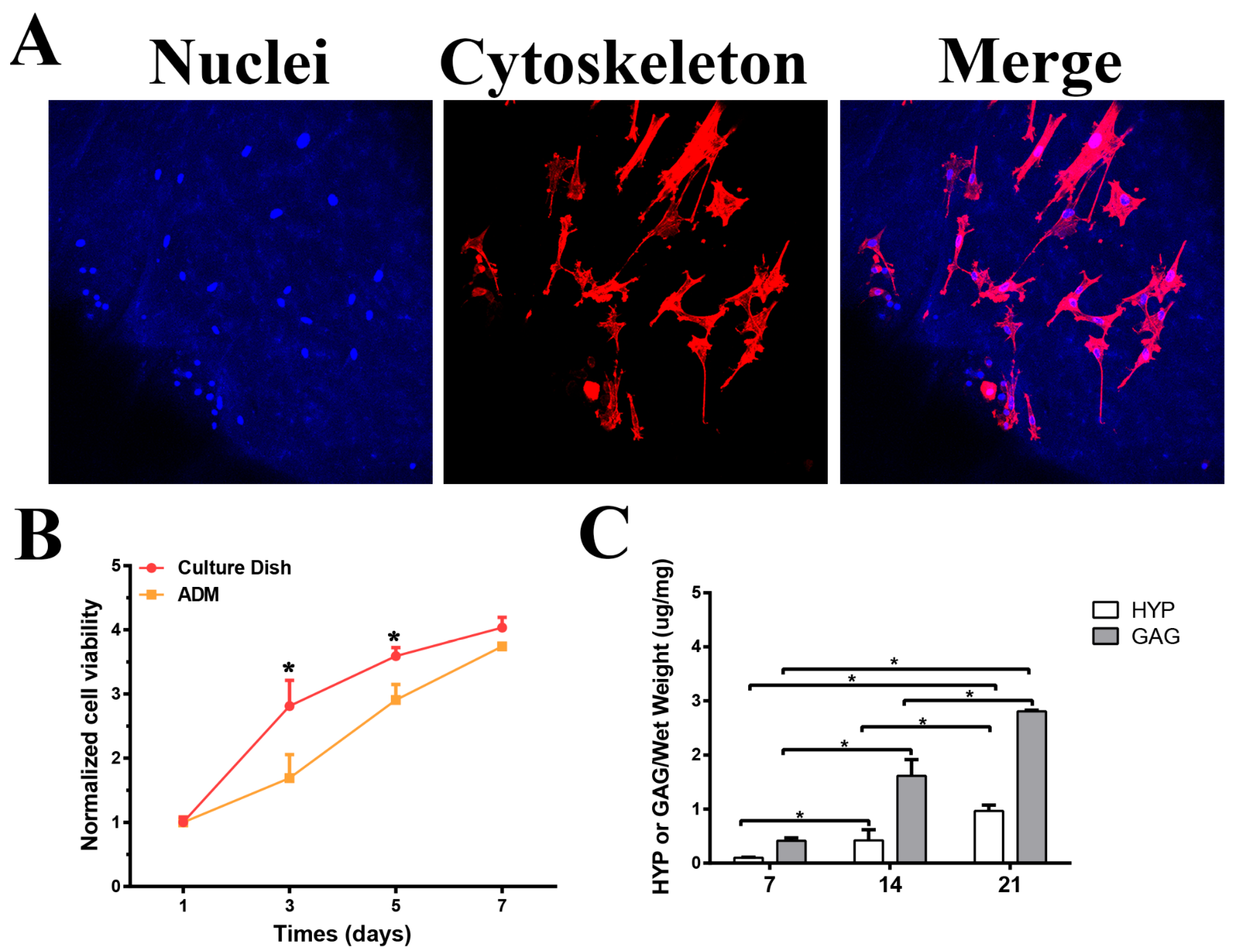 Bioengineering 10 00916 g003