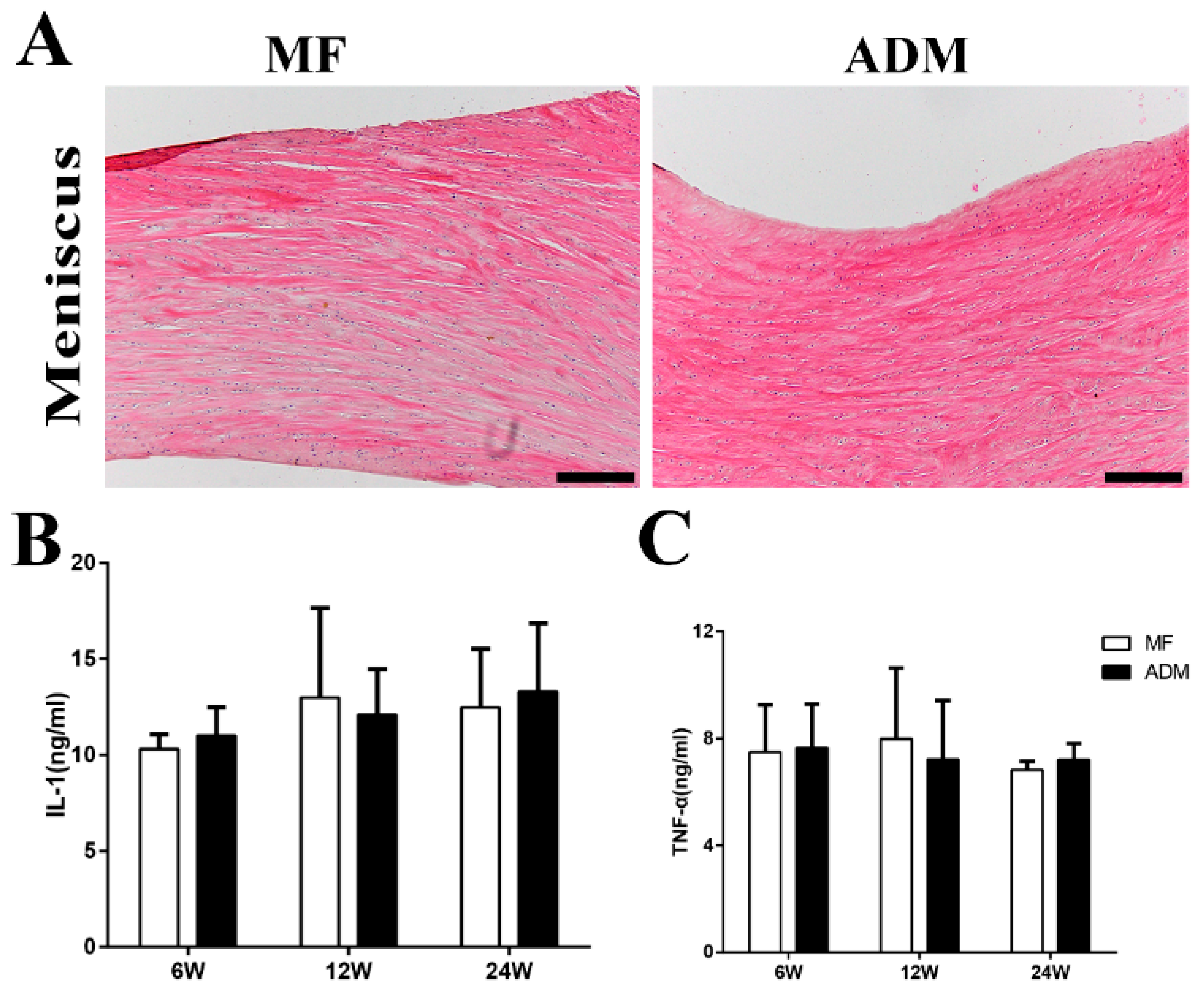 Bioengineering 10 00916 g004