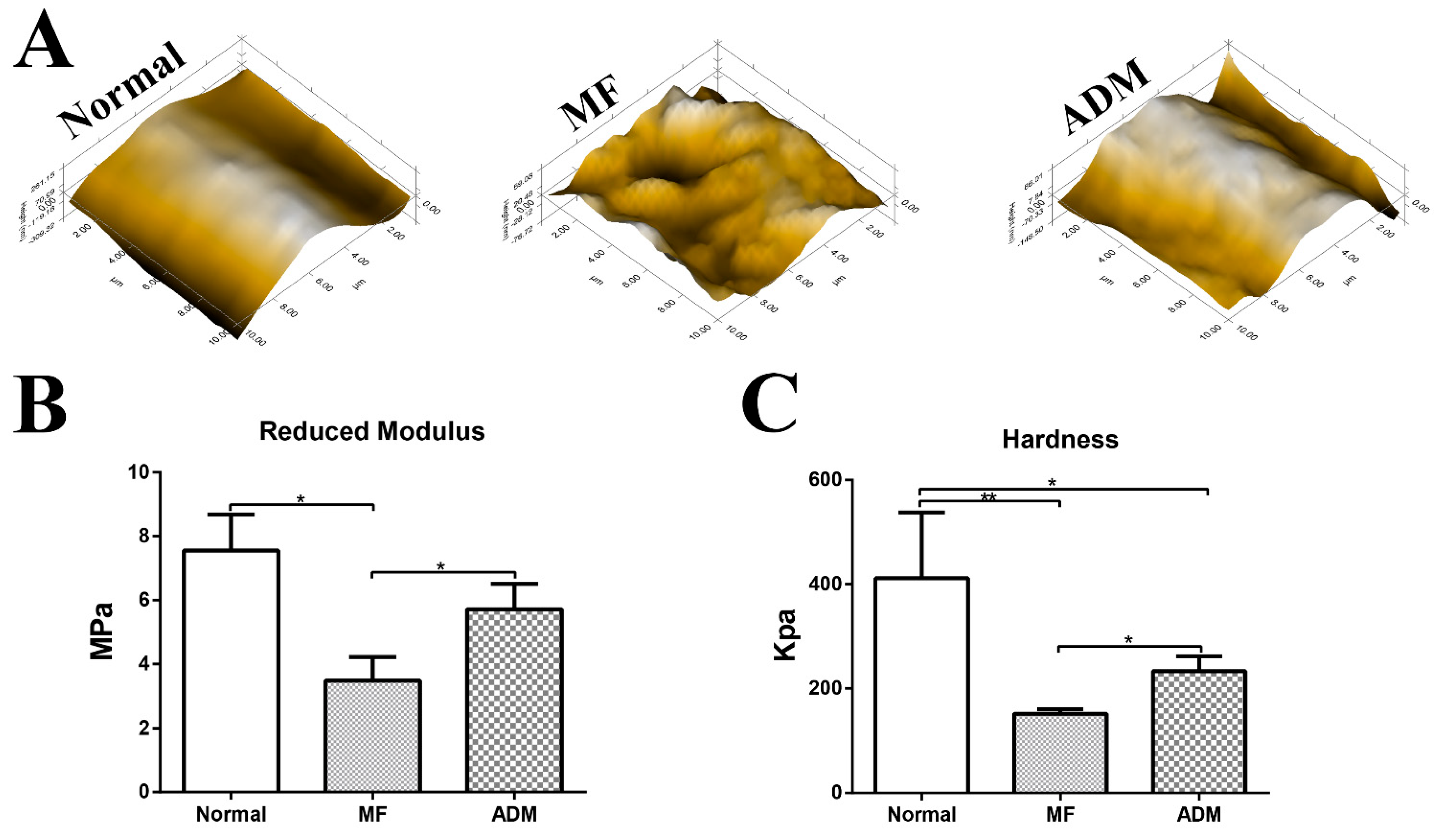Bioengineering 10 00916 g010