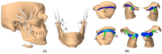 Bioengineering 10 00917 g004