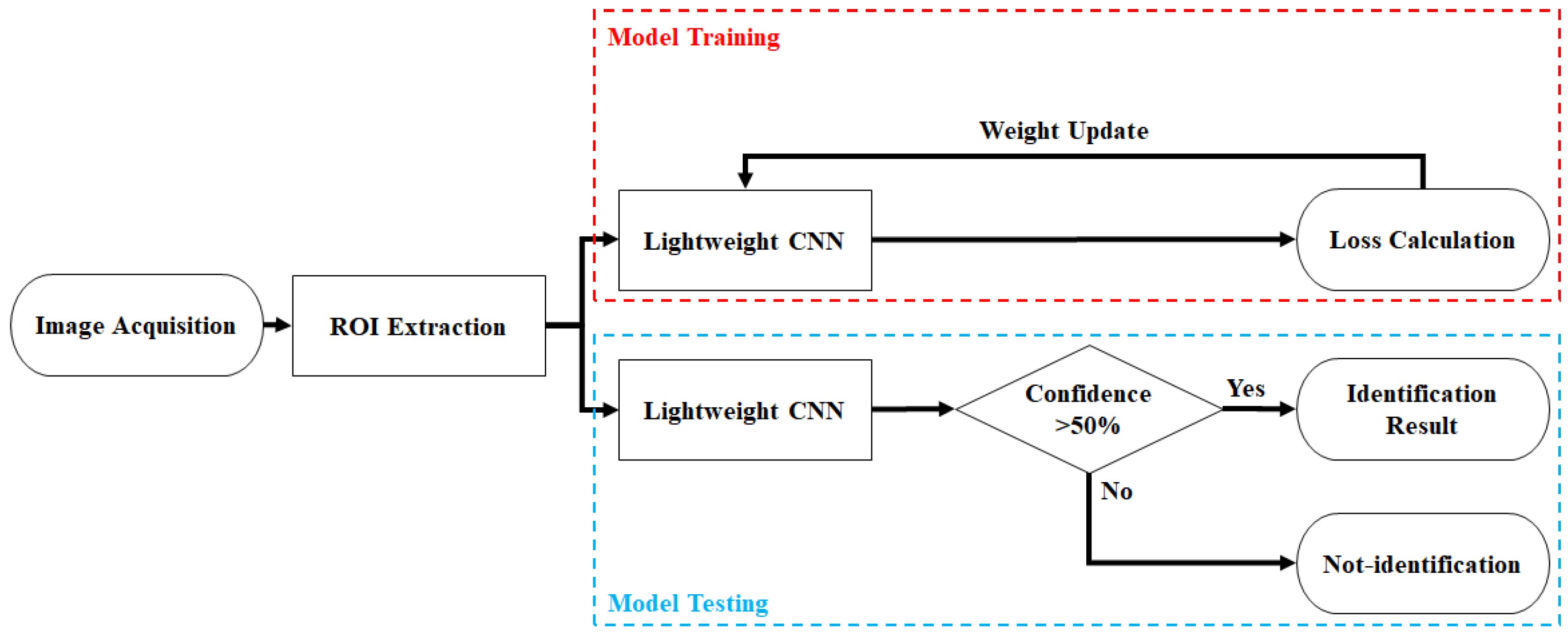 Bioengineering 10 00919 g001