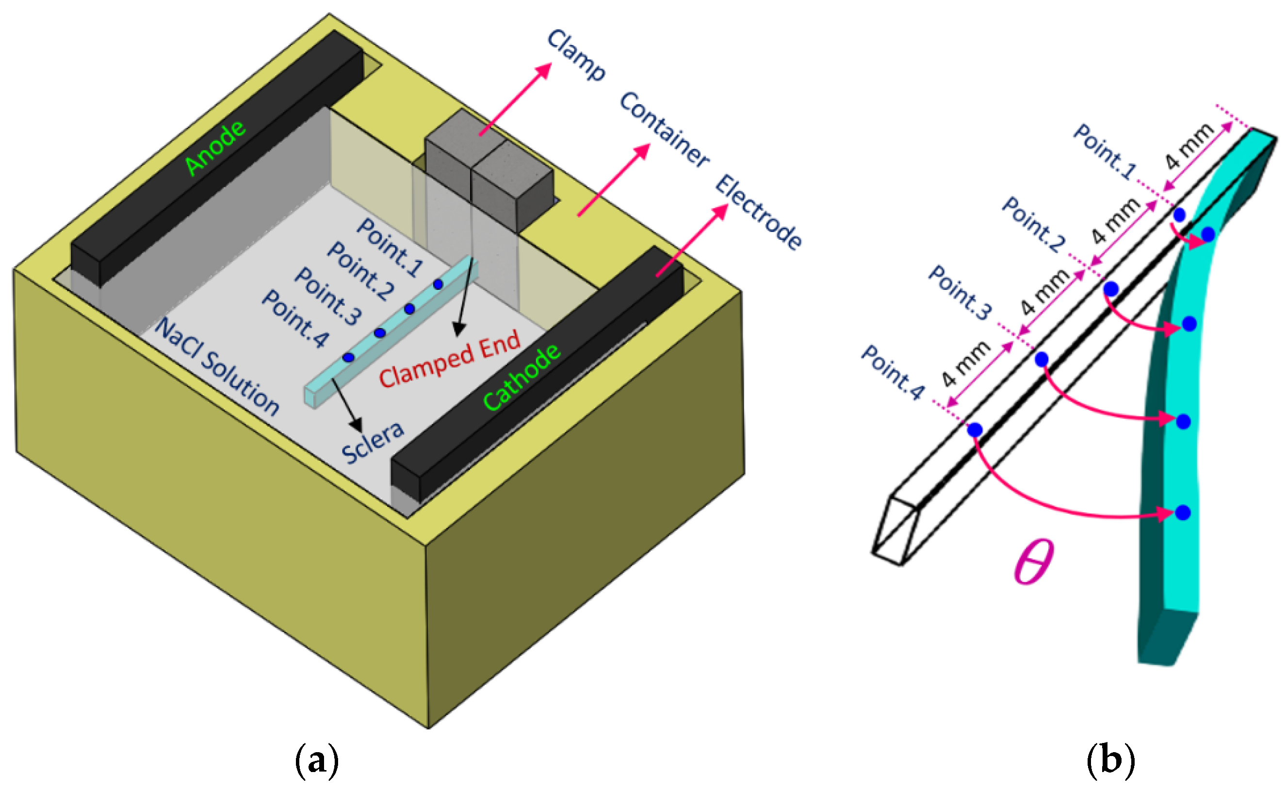 Bioengineering 10 00920 g001 Bioengineering 10 00920 g001
