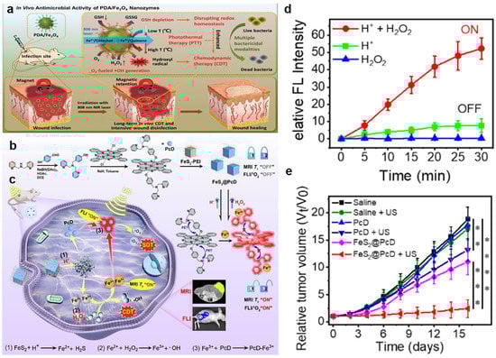 Bioengineering 10 00925 g001