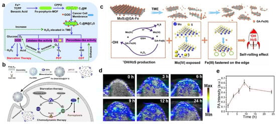 Bioengineering 10 00925 g002