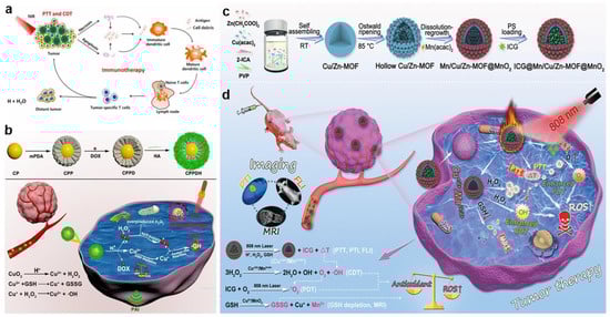 Bioengineering 10 00925 g004