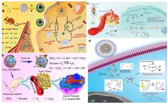 Bioengineering 10 00925 g006