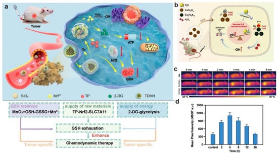 Bioengineering 10 00925 g009