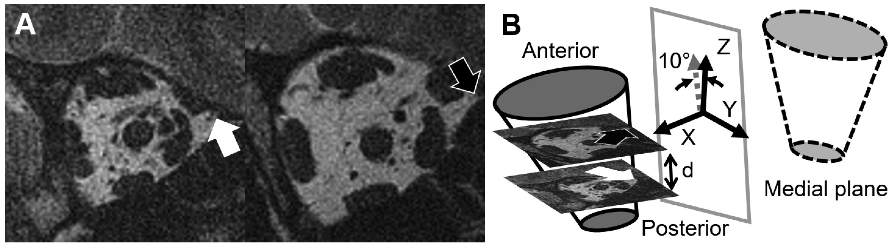Bioengineering 10 00931 g003