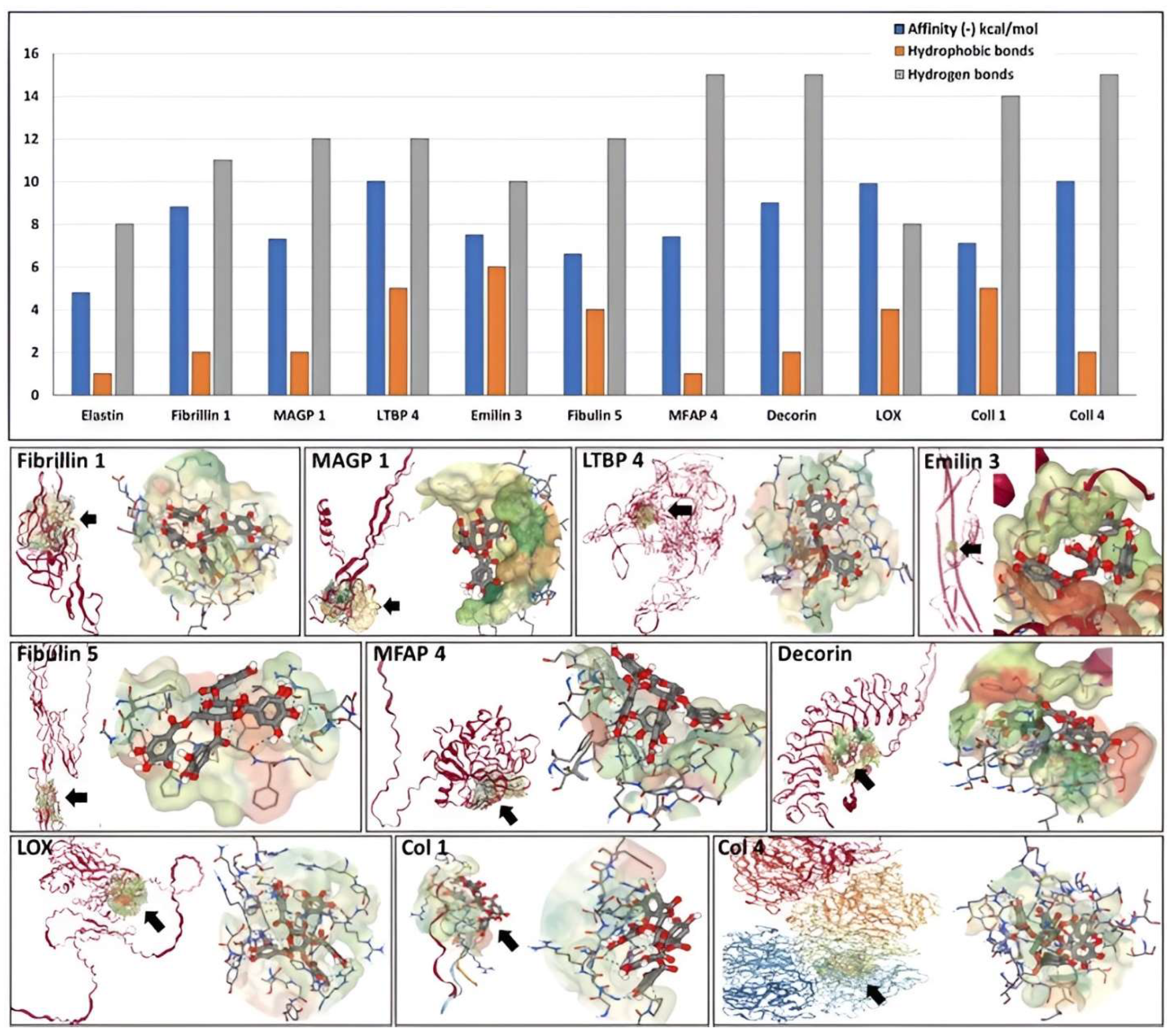Bioengineering 10 00936 g004
