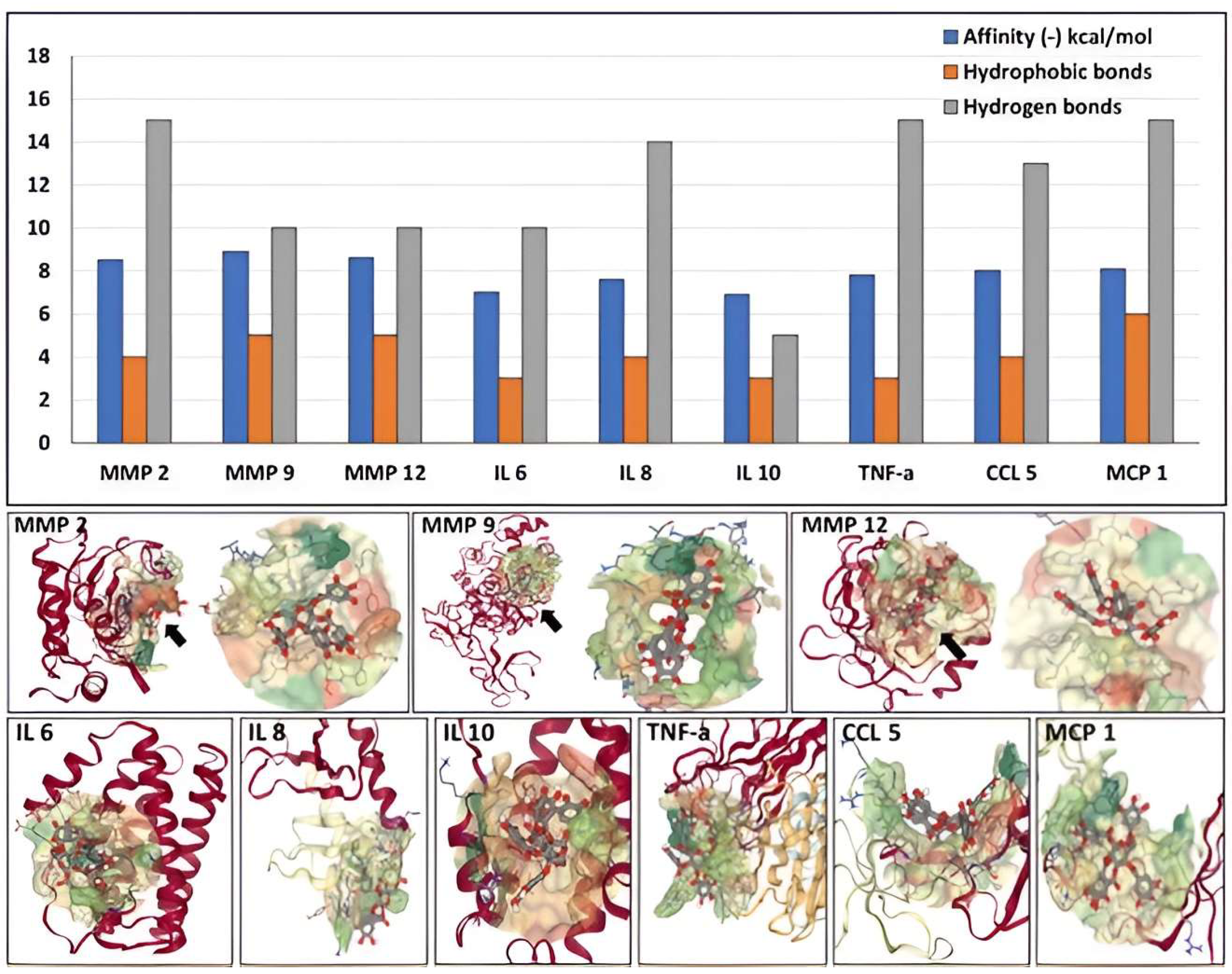 Bioengineering 10 00936 g005