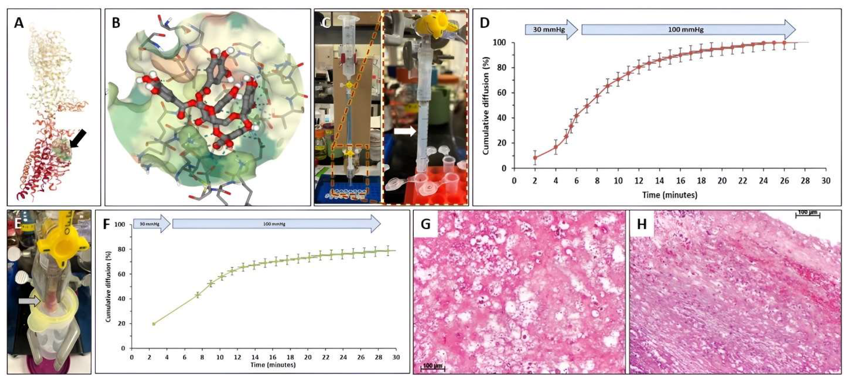 Bioengineering 10 00936 g006