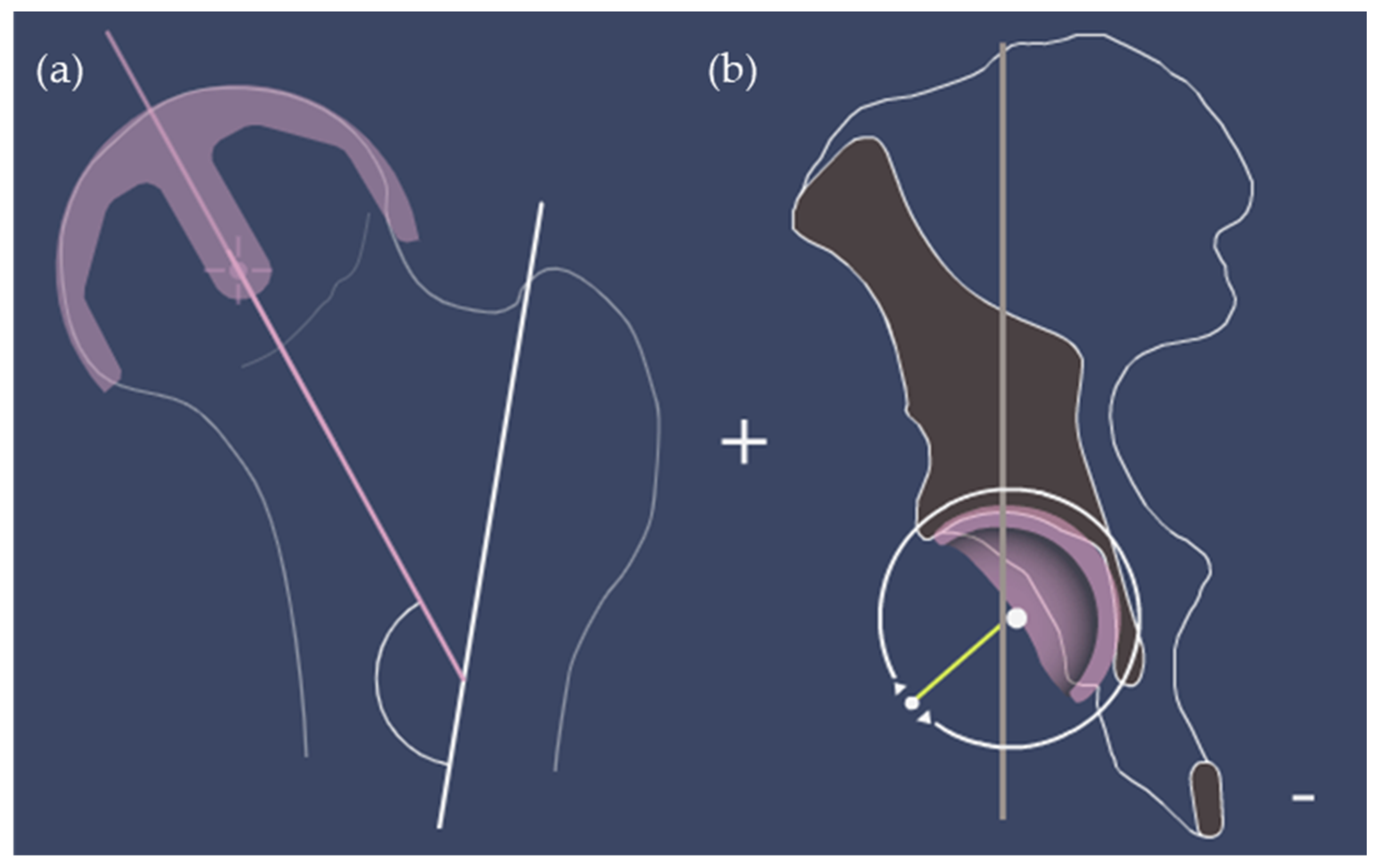 Bioengineering 10 00939 g002