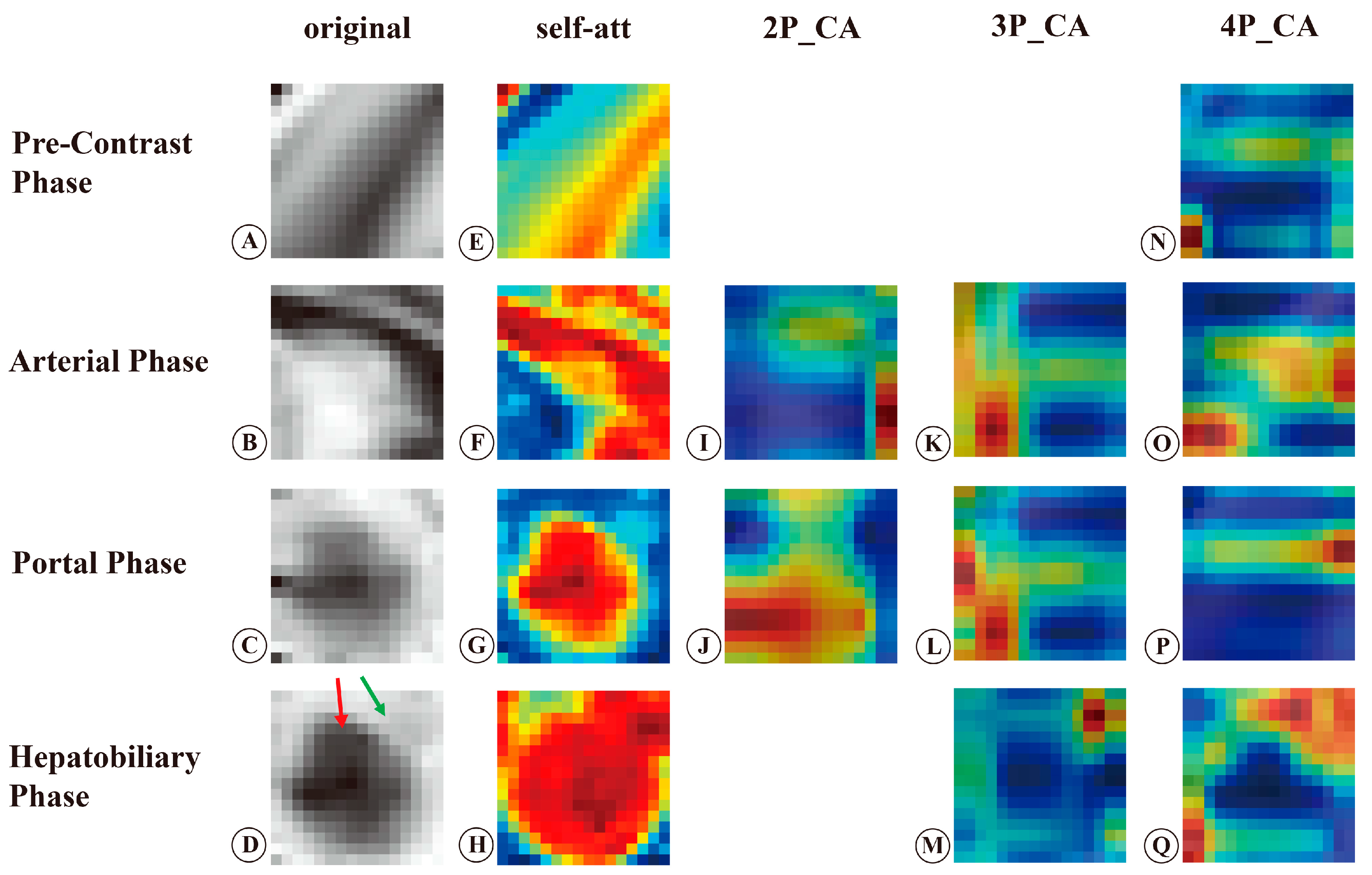 Bioengineering 10 00948 g007