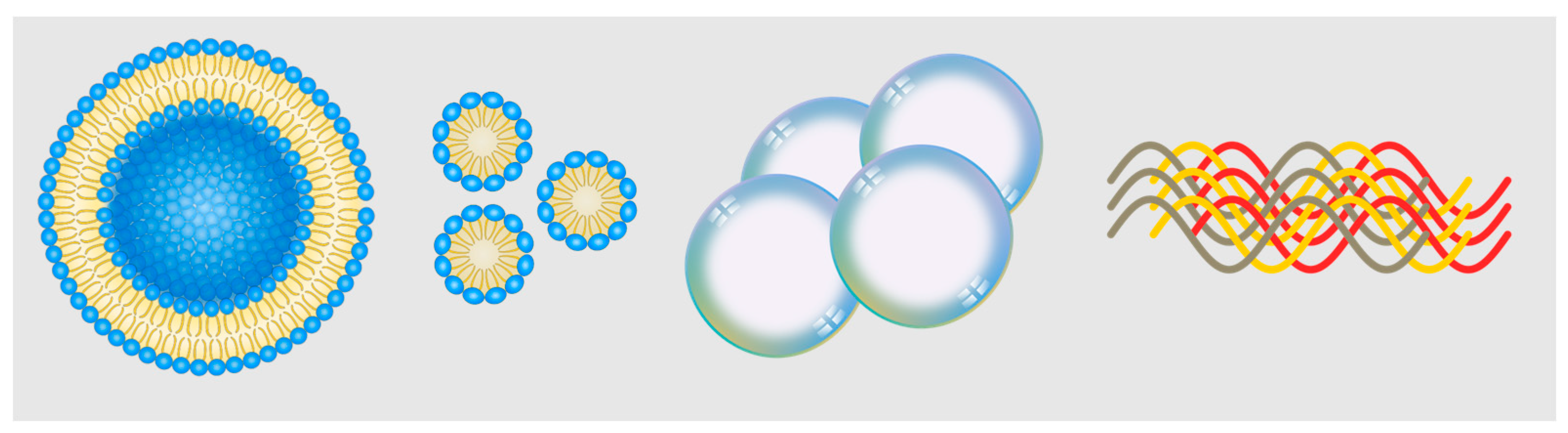 Bioengineering 10 00954 g003